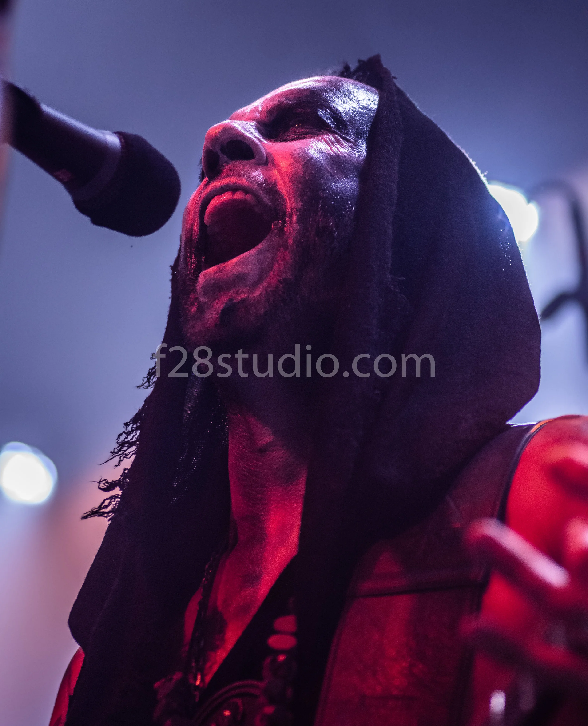 D50_4459.jpg