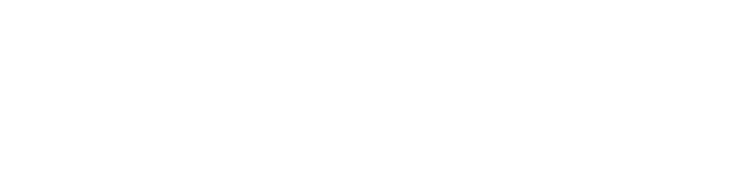 CONCERT HIGHLIGHT-logo-white (2).png