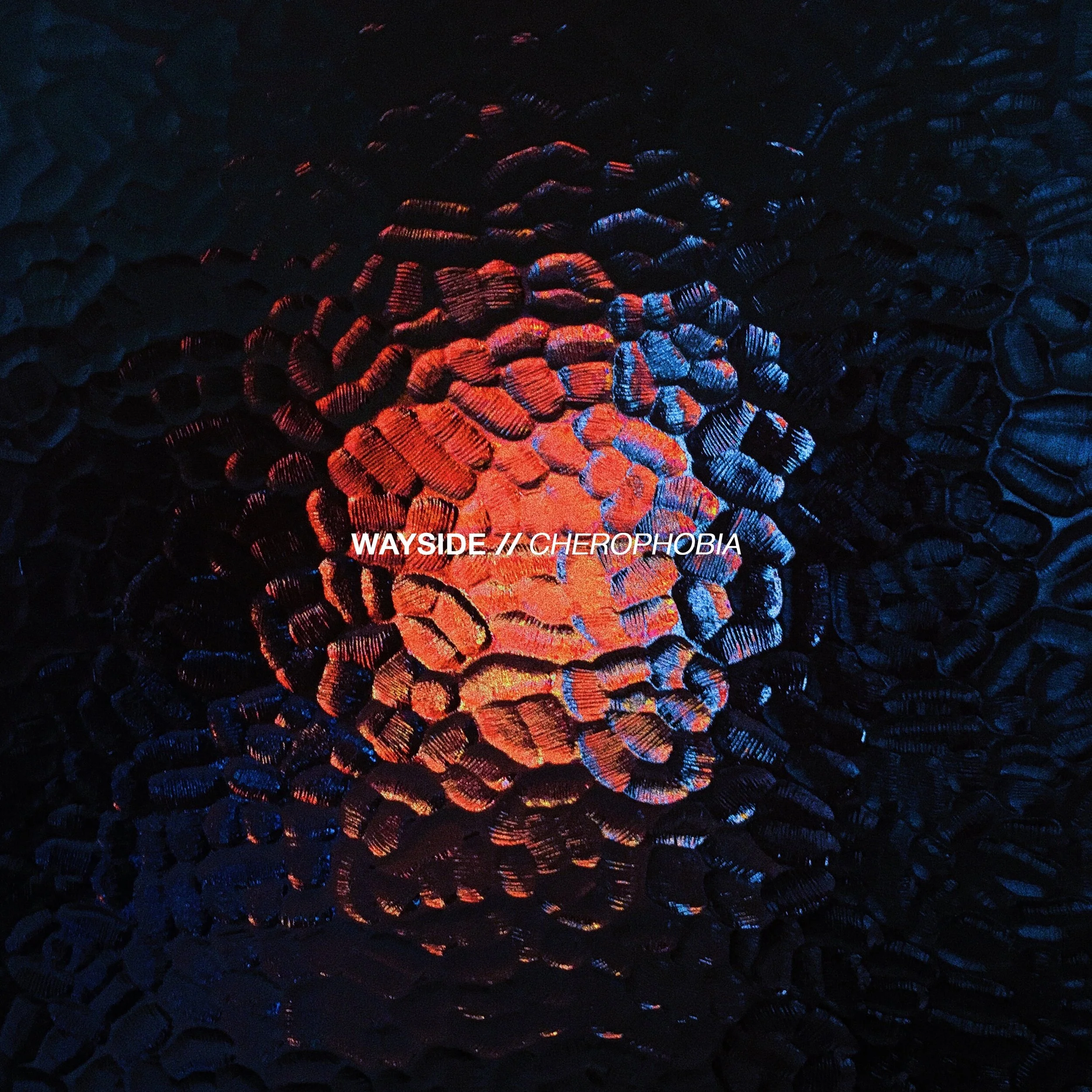 WAYSIDE DROPS NEW SINGLE!