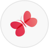 Longer-Term Recovery