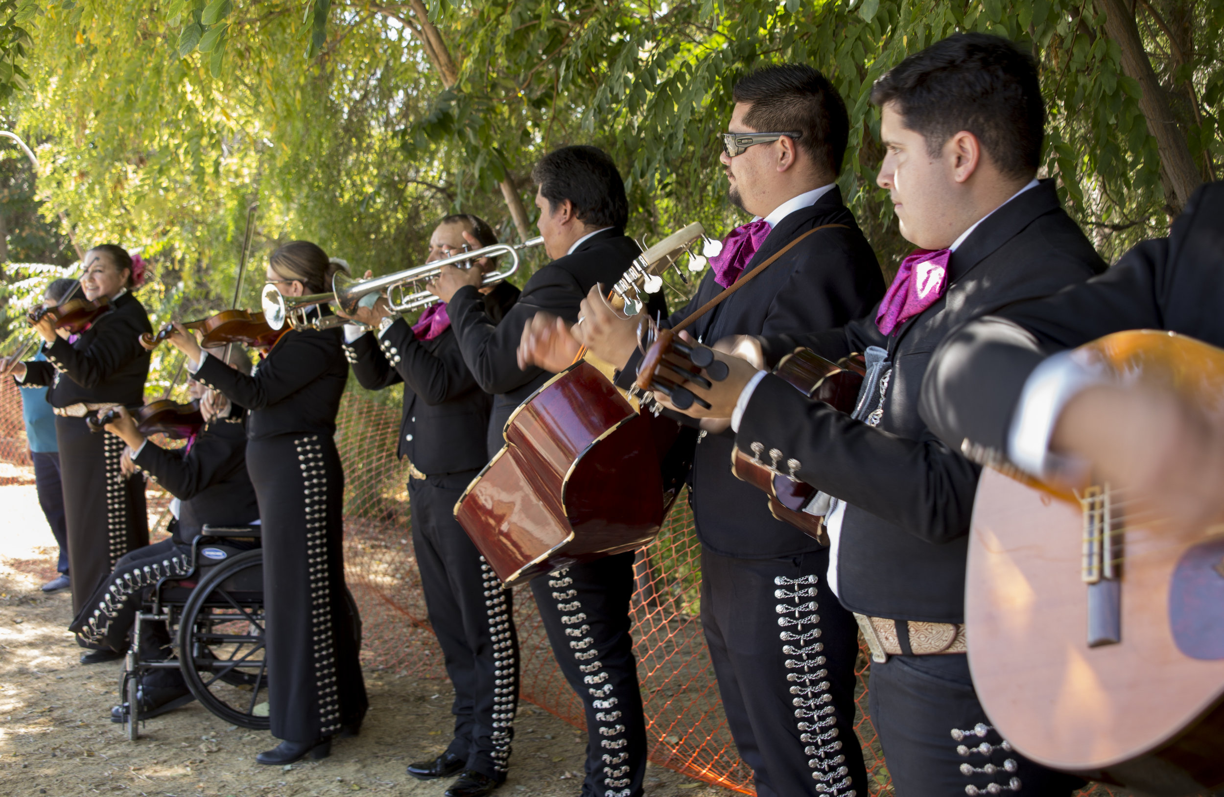  A mariachi band played during the Silicon Valley NAMI Walk  on   Saturday, September 17.  