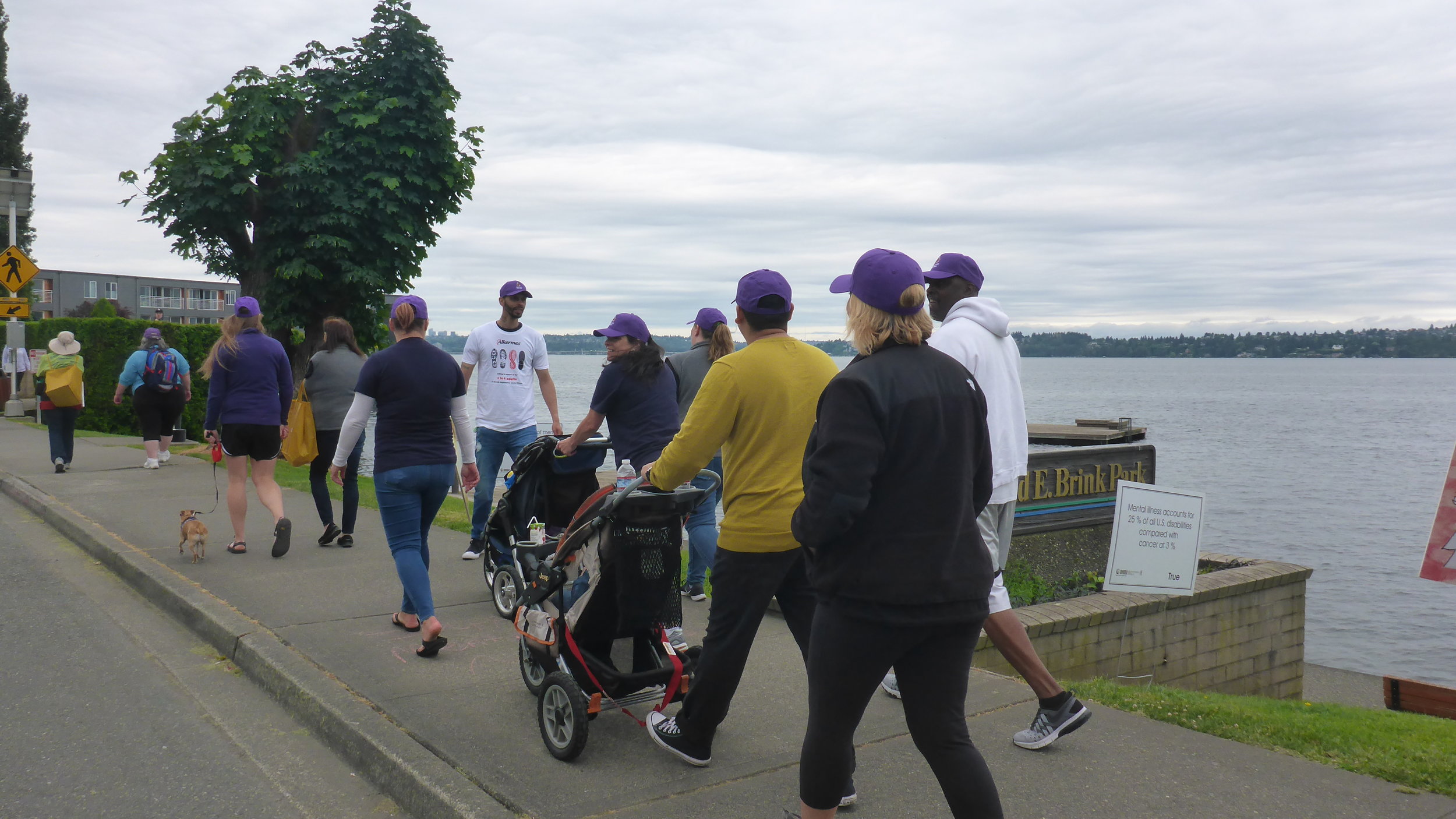 13 Purple hats walking.JPG