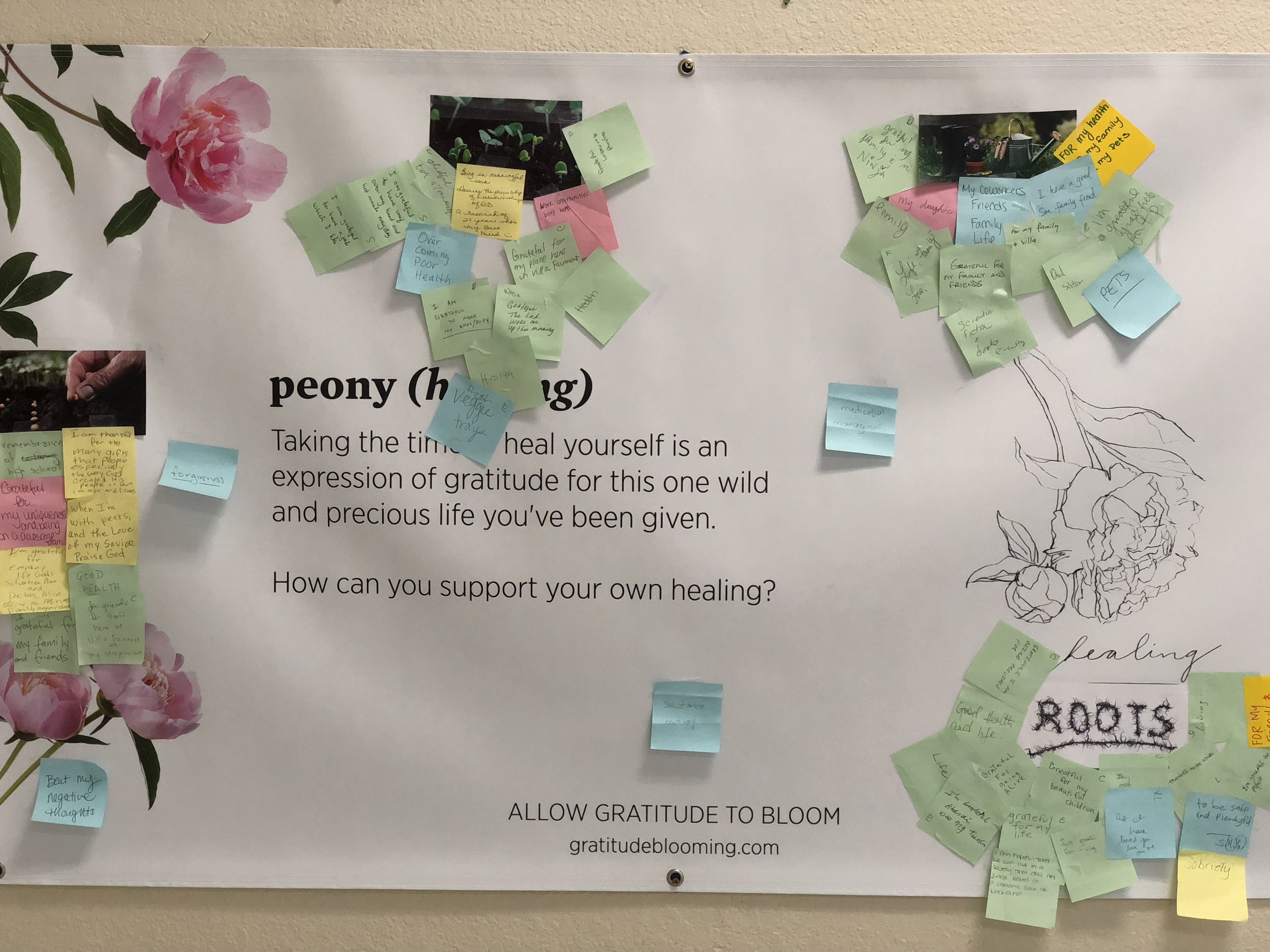 Post-It Gratitude — Community Mindfulness Project