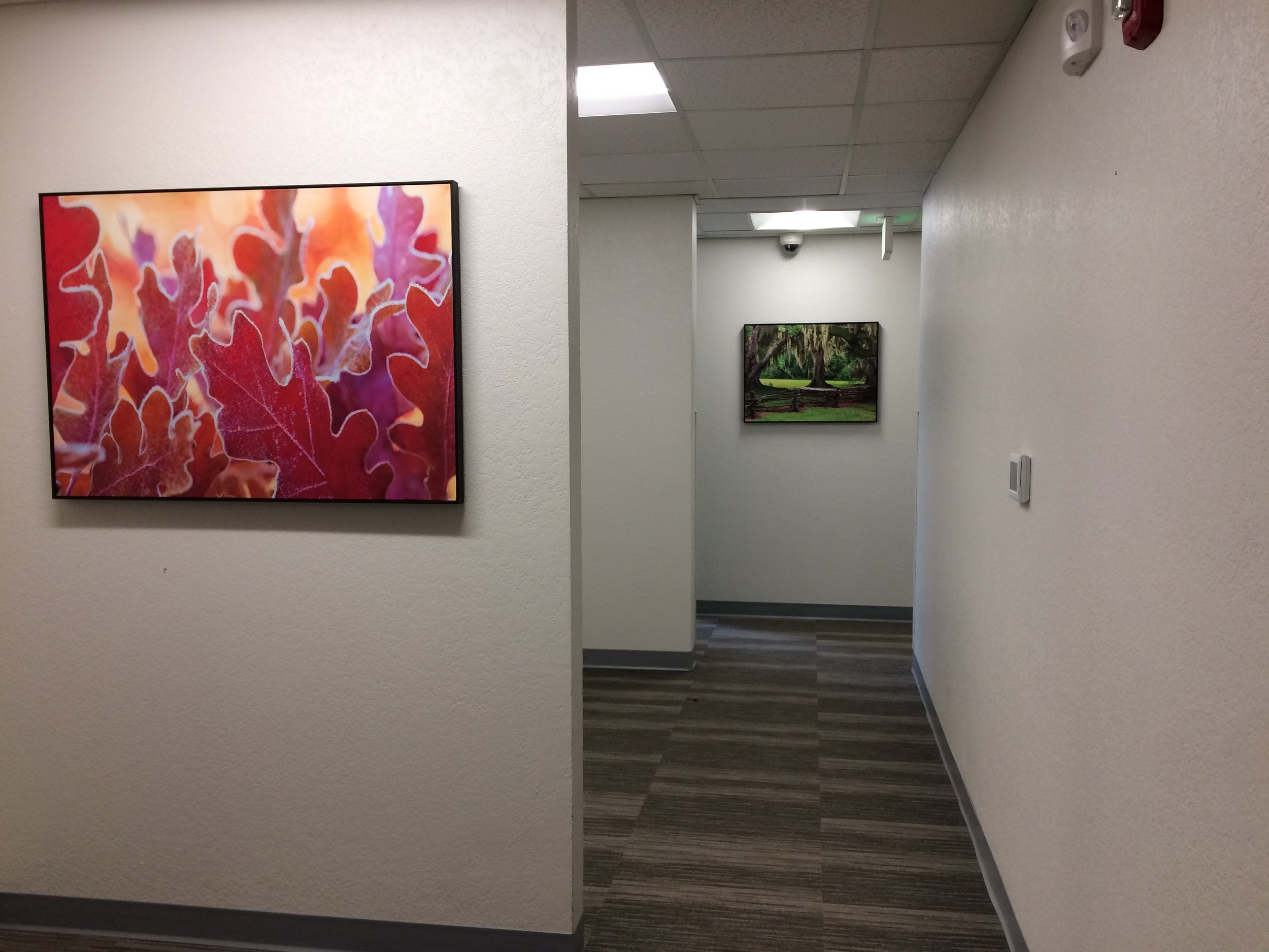 Mark Reed E&T — Telecare