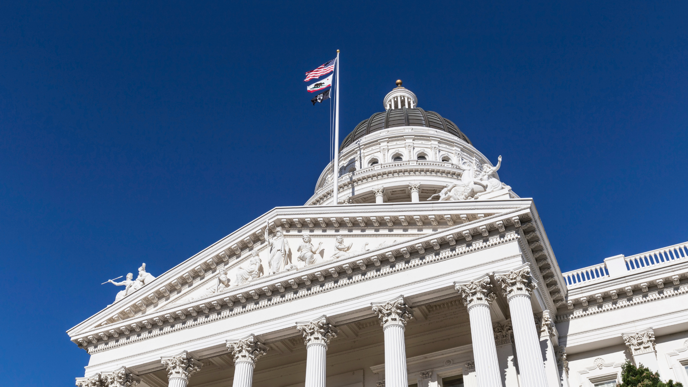 ������Ƶ Banner_CA Advances BHC Services AB 803.png