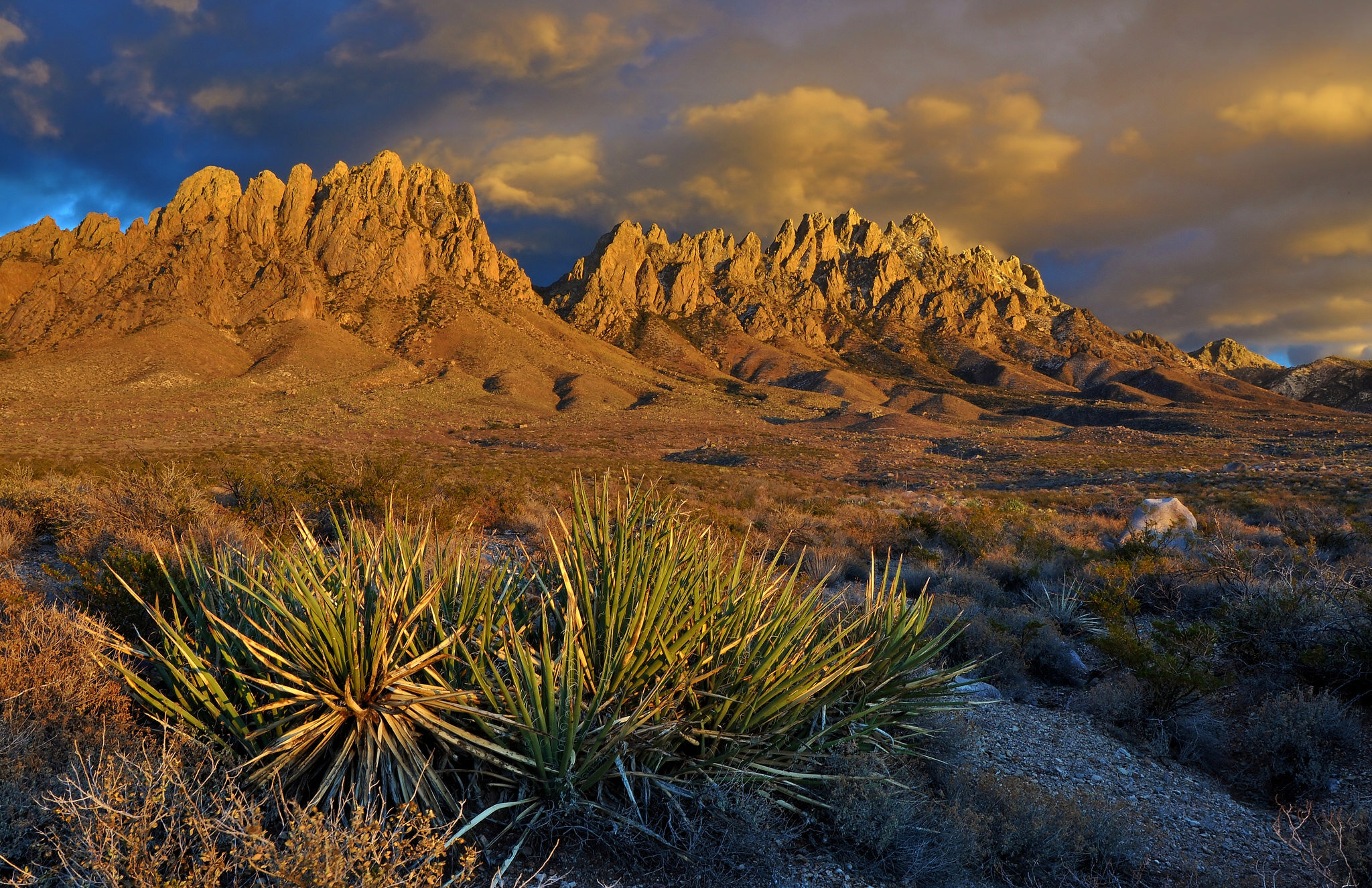 "My Public Lands Roadtrip: Sierra Vista National Recreation Trail in southwestern New Mexico" by mypubliclands is licensed under CC BY 2.0