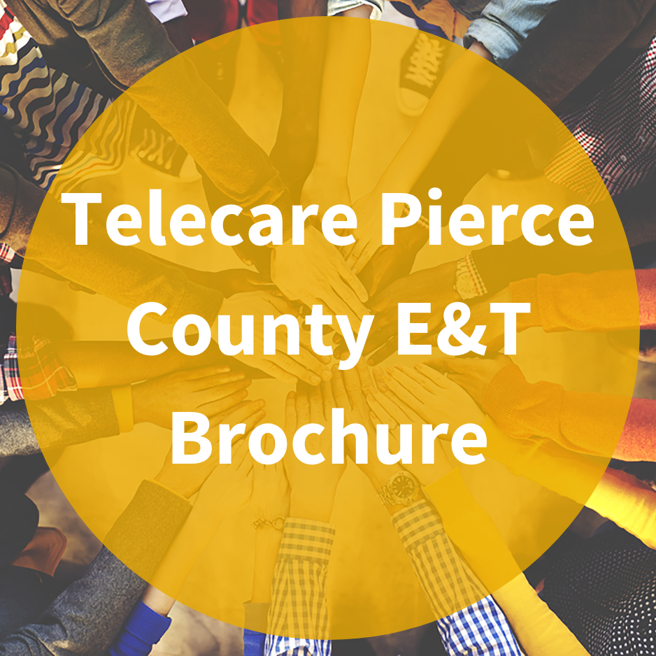 黨ɫƬ Pierce County ET Brochure.png
