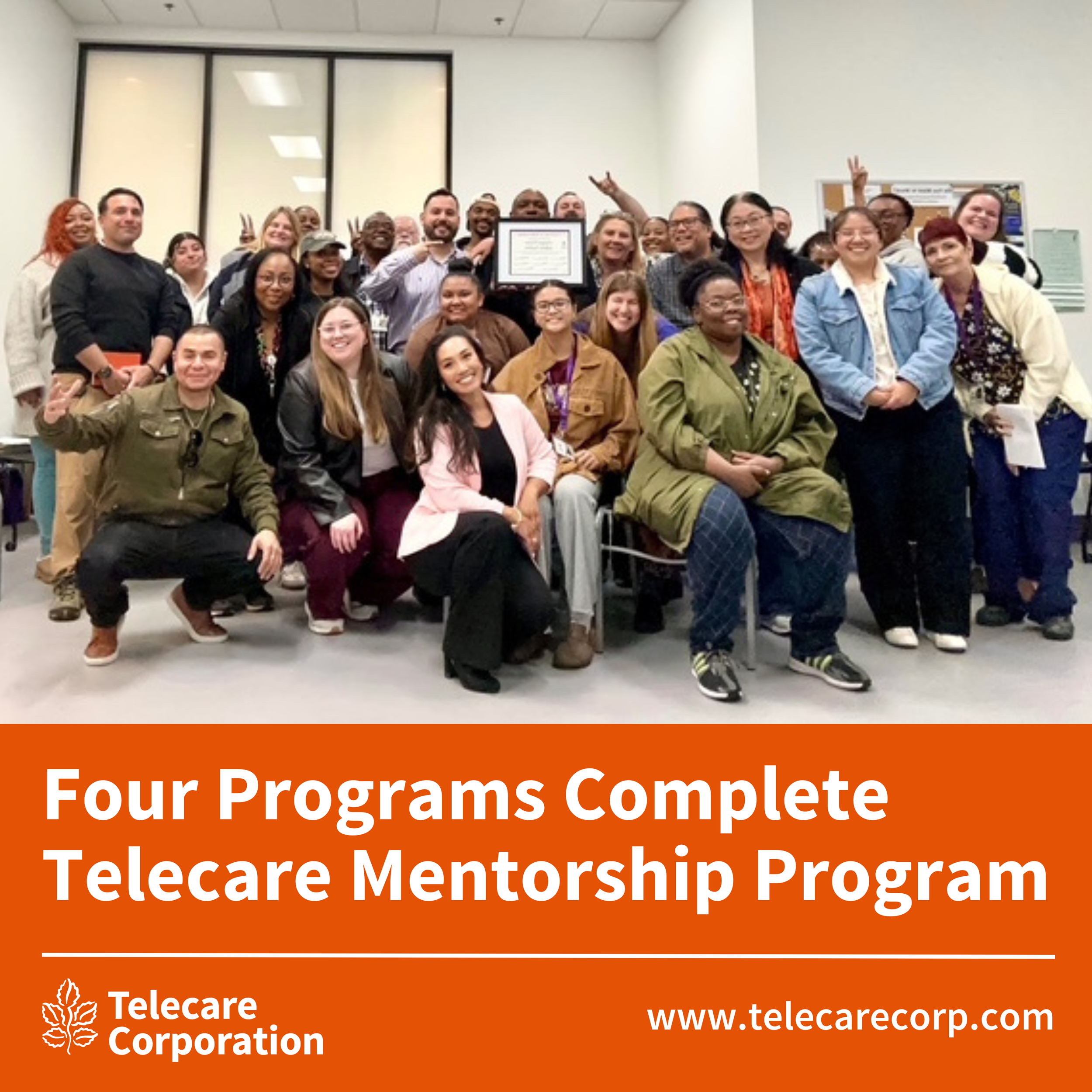 Four Programs Complete Telecare Mentorship Program