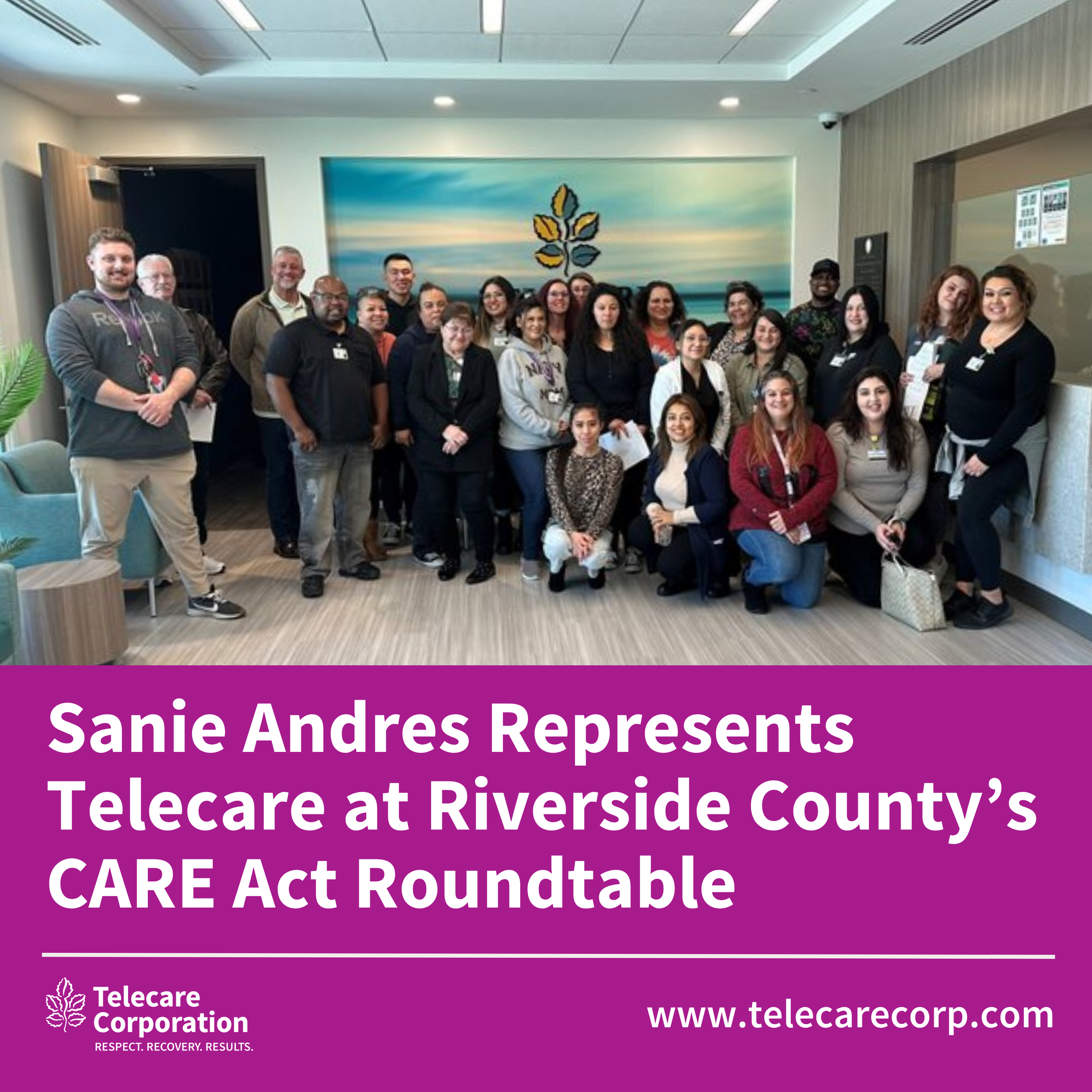 Sanie Andres Represents Telecare at CARE Act Roundtable