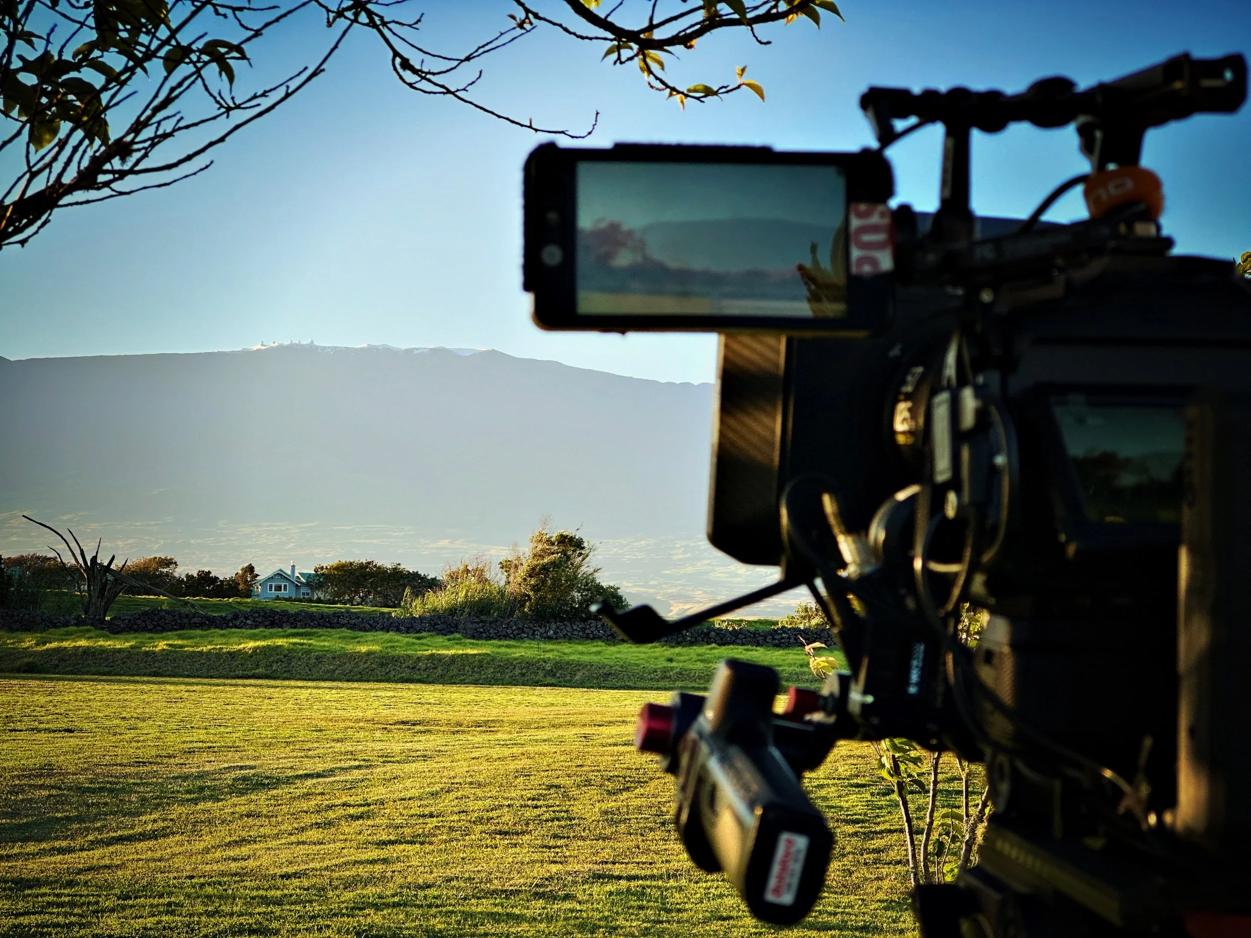 EPY_HAWAII - 4 of 40.jpeg