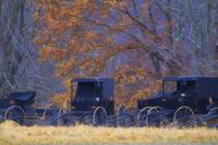 Amish-Buggies-In-the-Rain_art - Glenda Borchelt.jpg