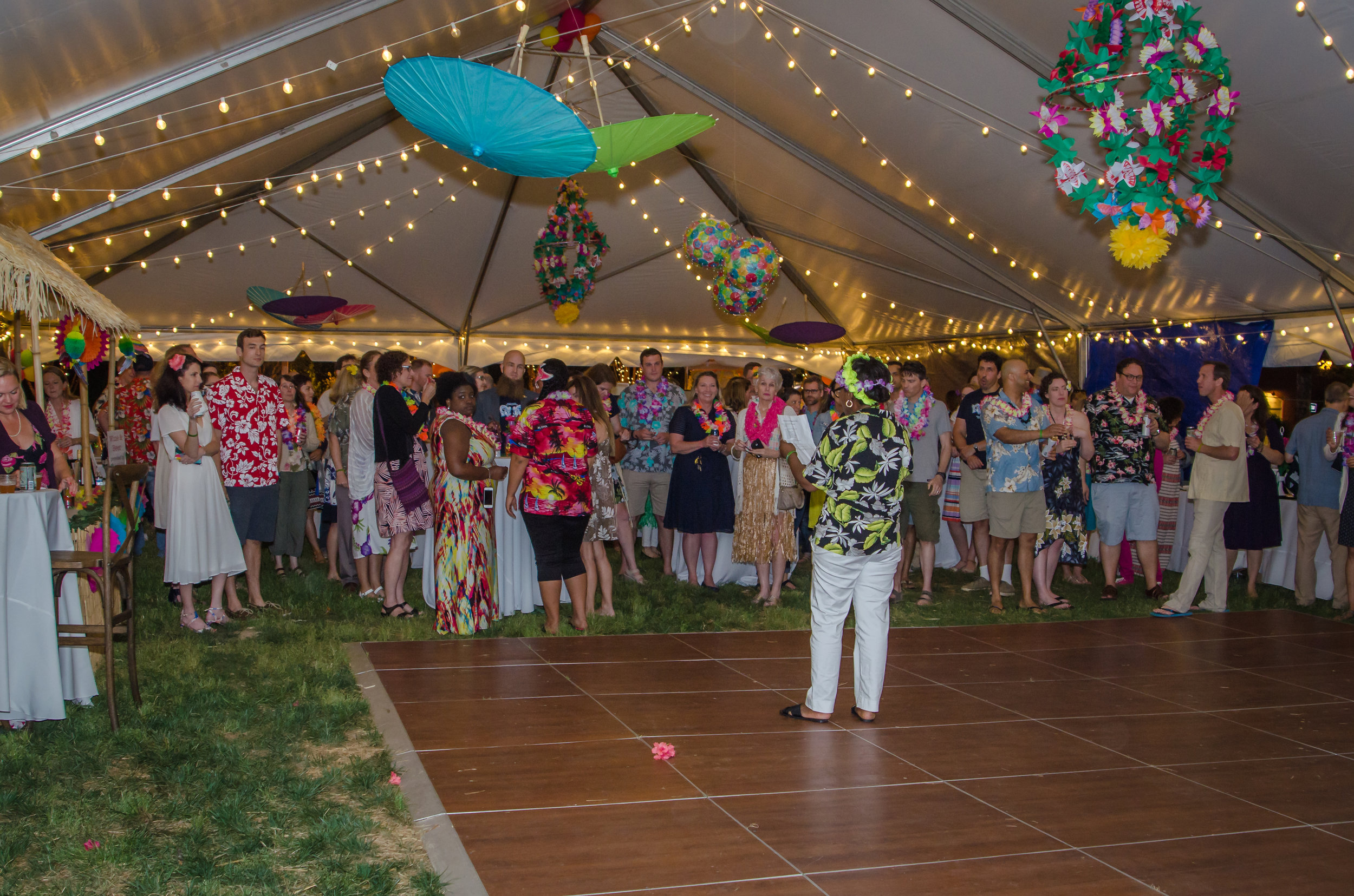 auction pic luau.jpg