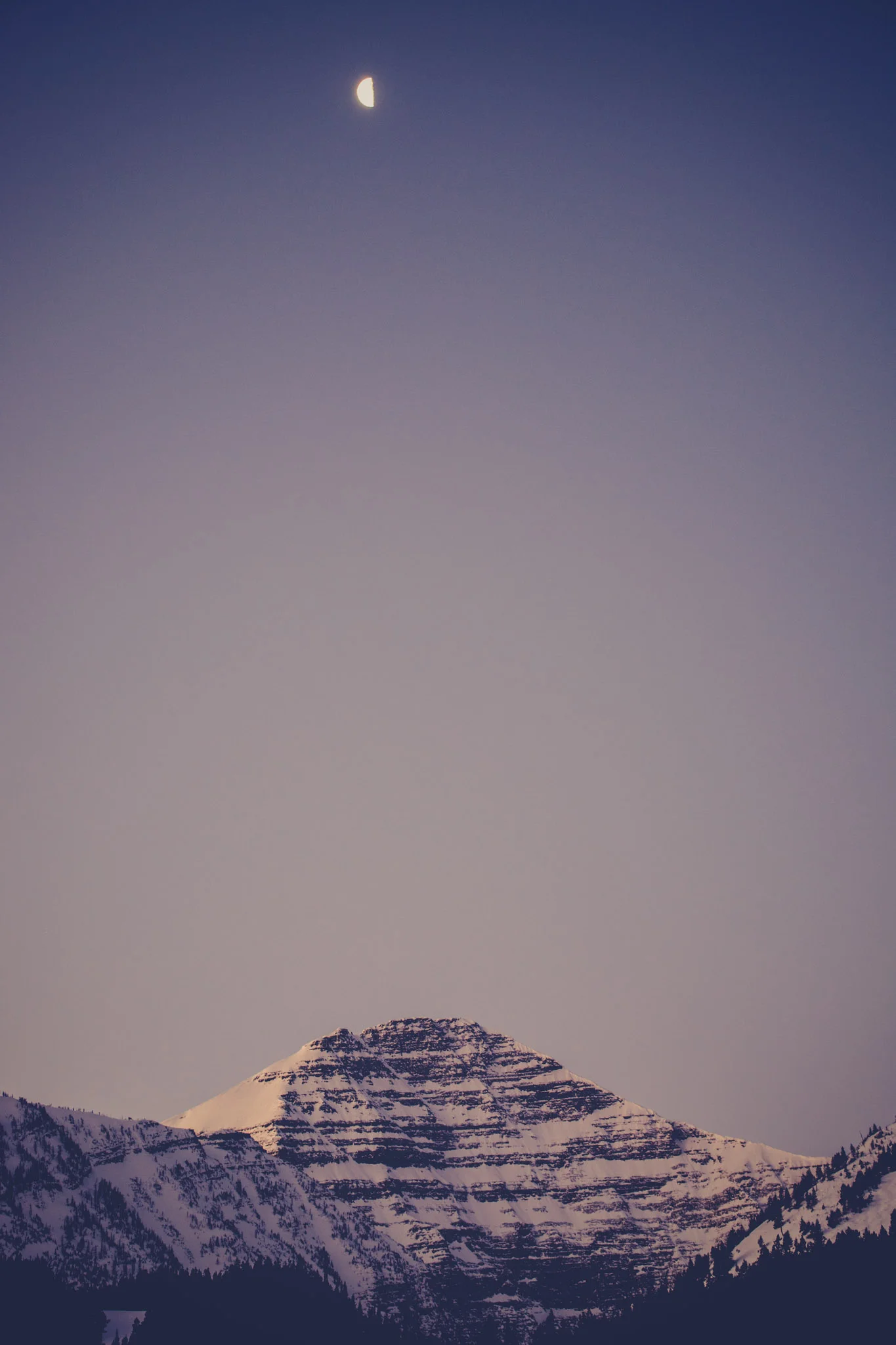 DSC_2084.jpg