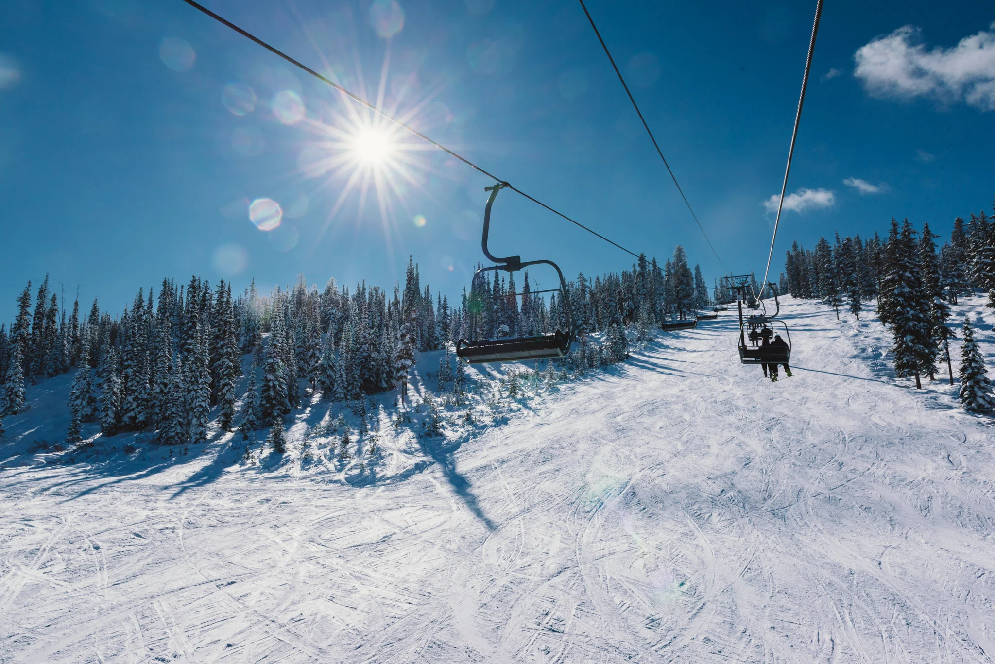ND7_8260.jpg
