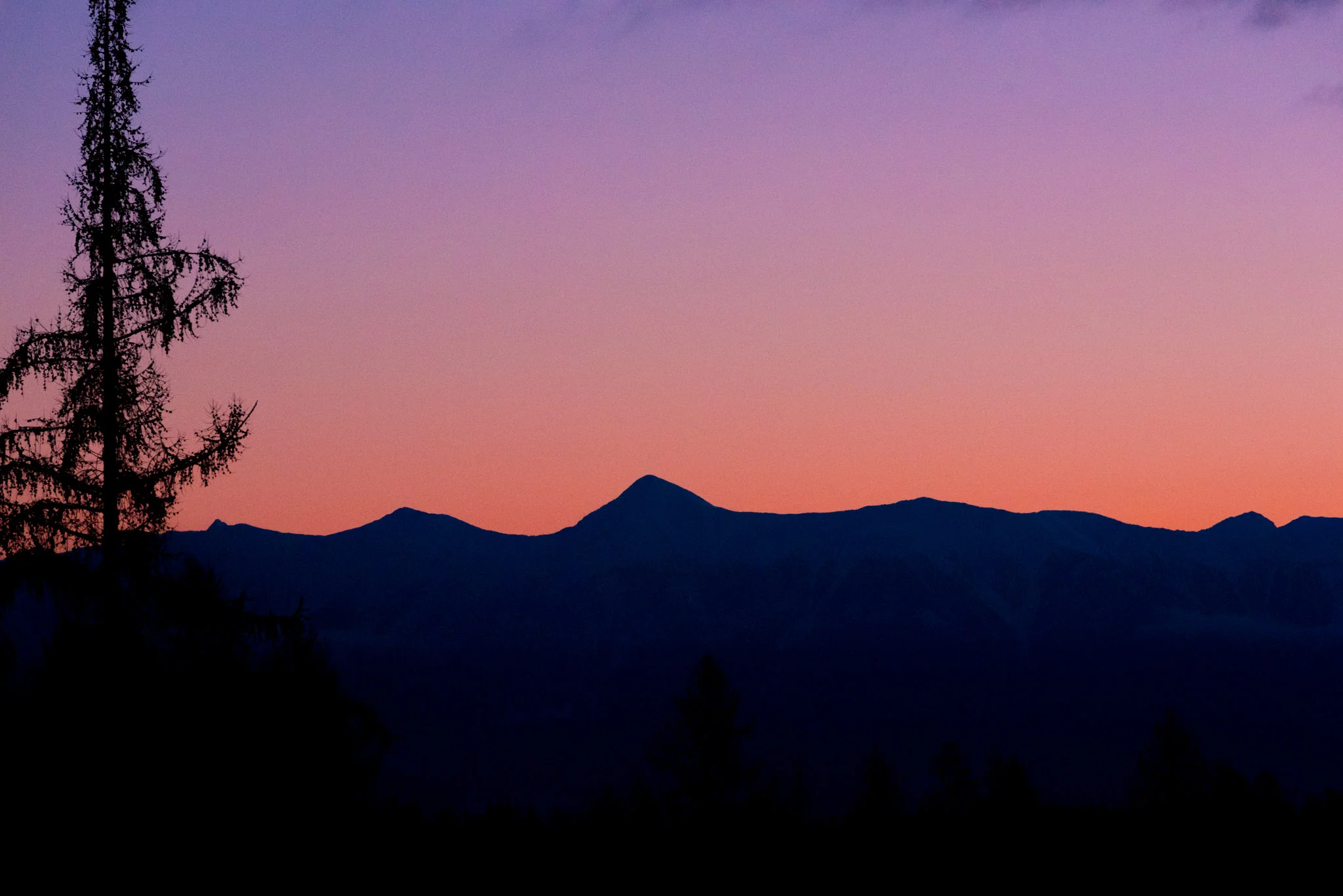 ND7_8324.jpg