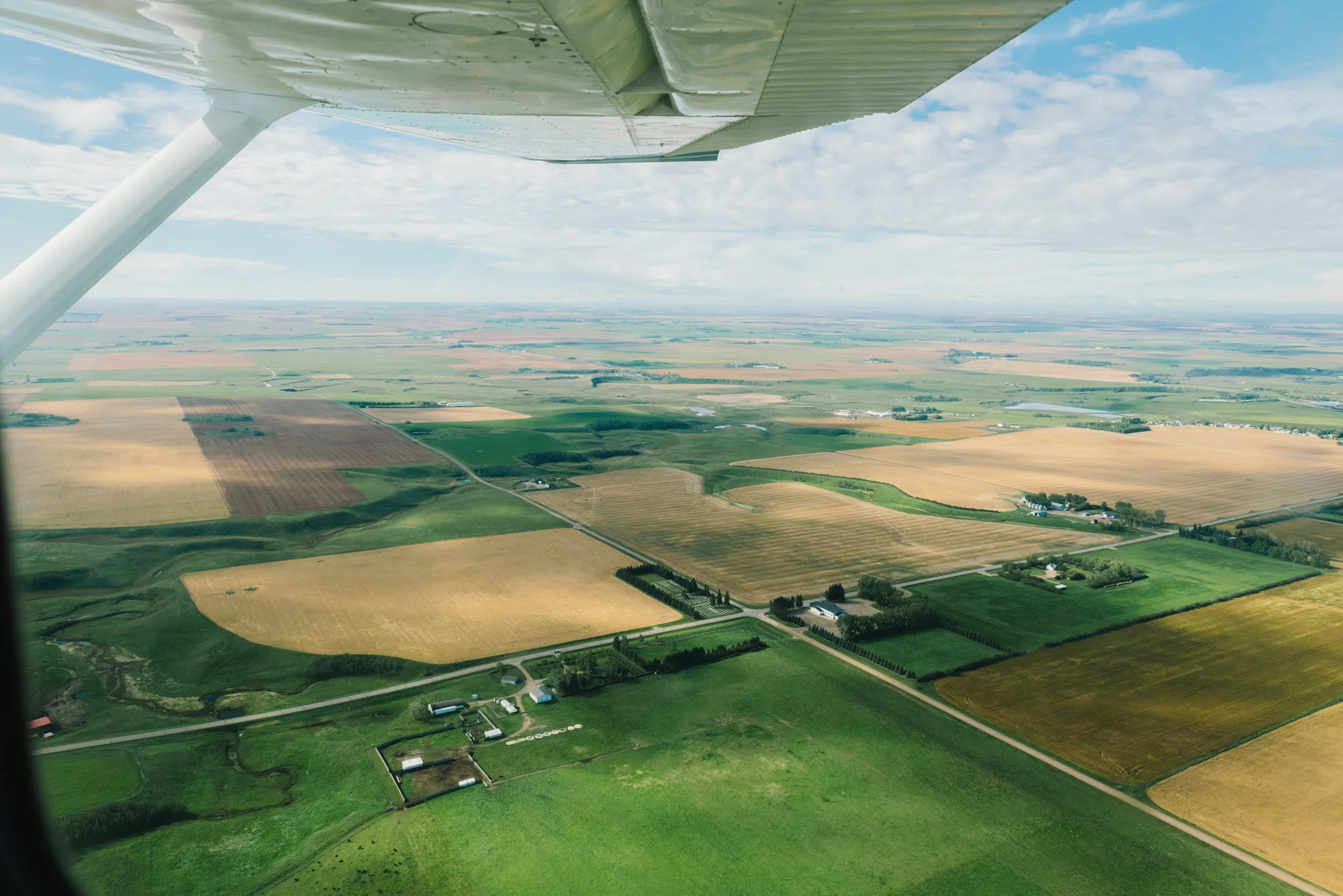 _ND71052-2.jpg