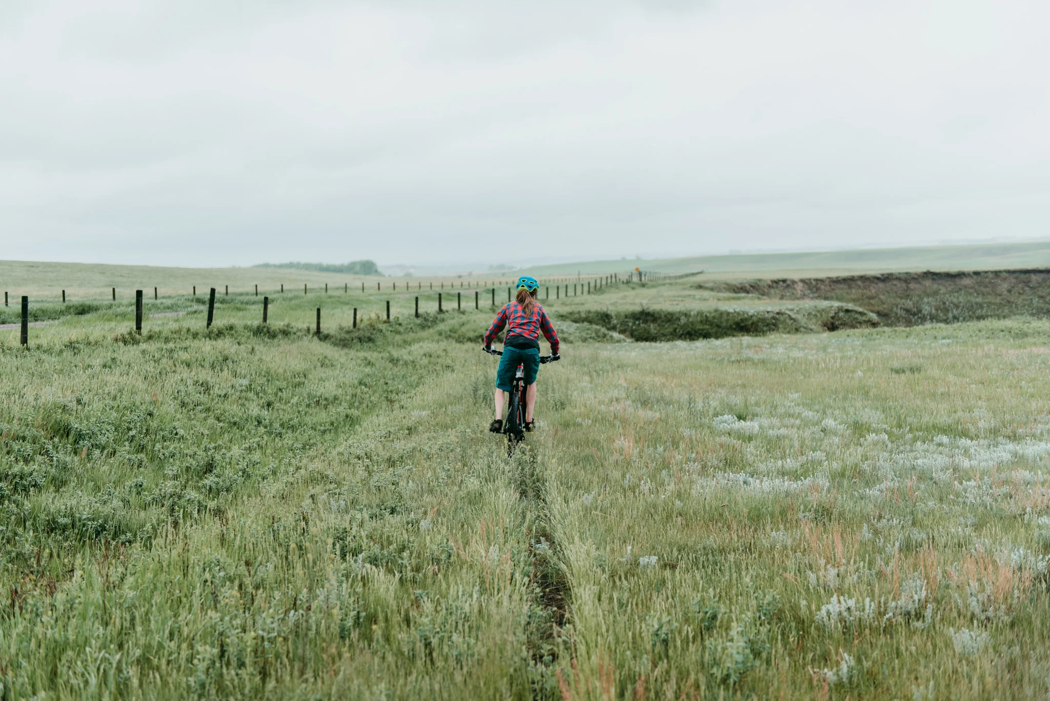 Spring, 2019 - Chelsea Czibere - Rocky Mountain Family-8.jpg