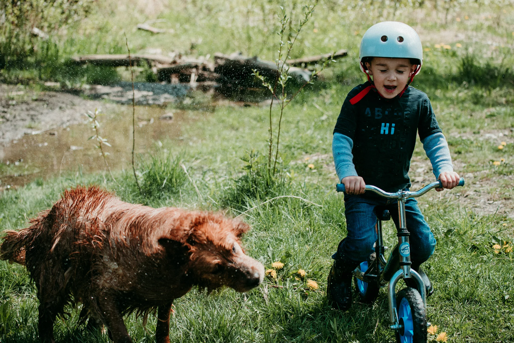 Spring, 2019 - Chelsea Czibere - Rocky Mountain Family-1.jpg