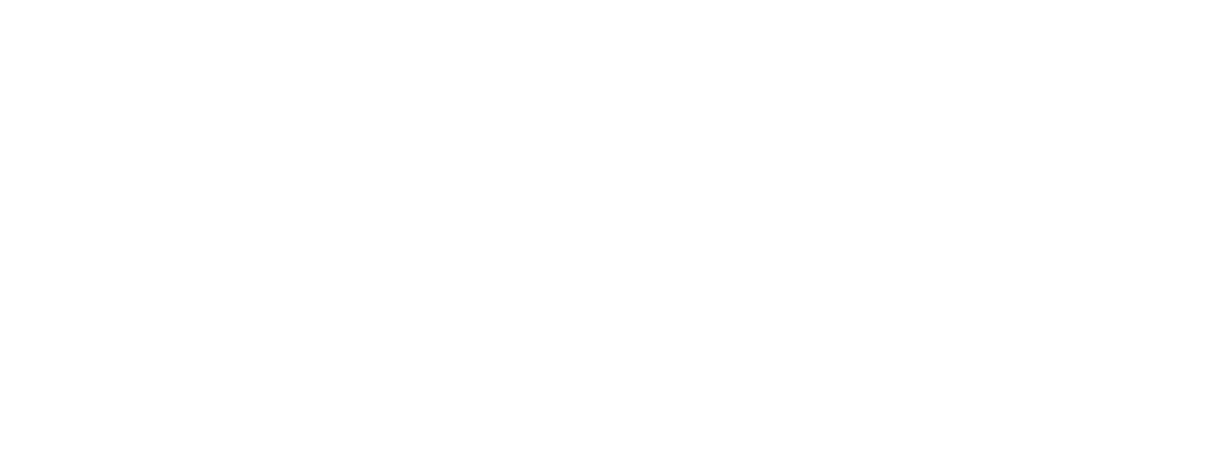 vanderzee logo image.png