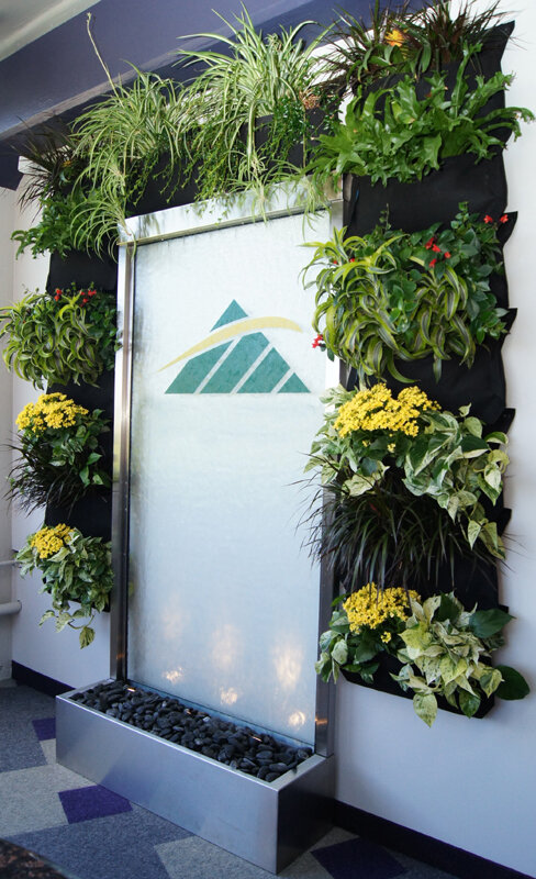 planter wall.jpg