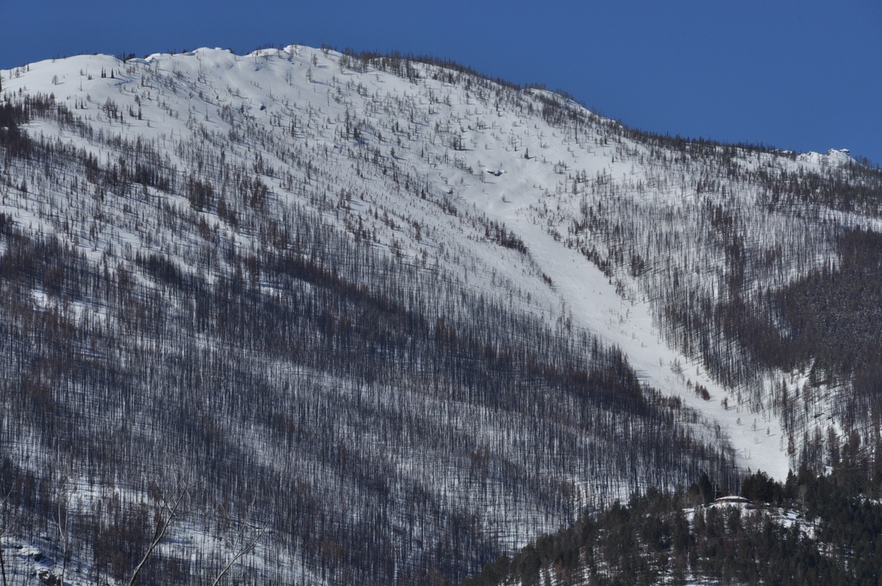 DSC_0007.jpg