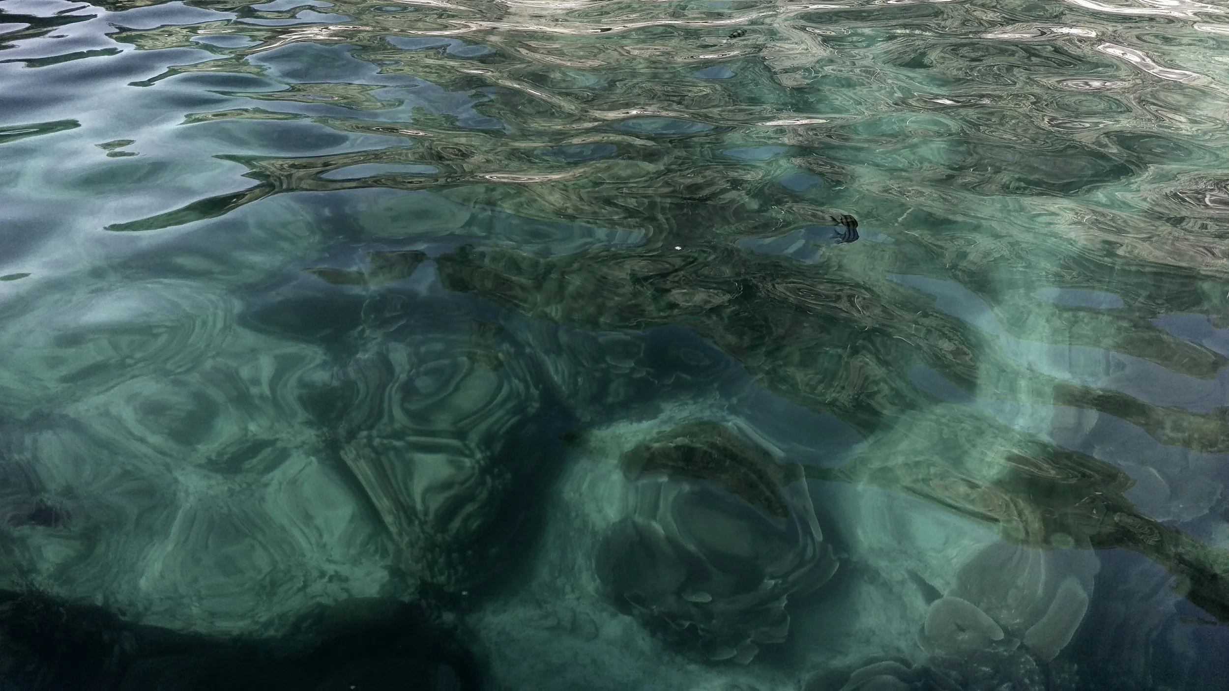 abstract ocean water 2.jpg