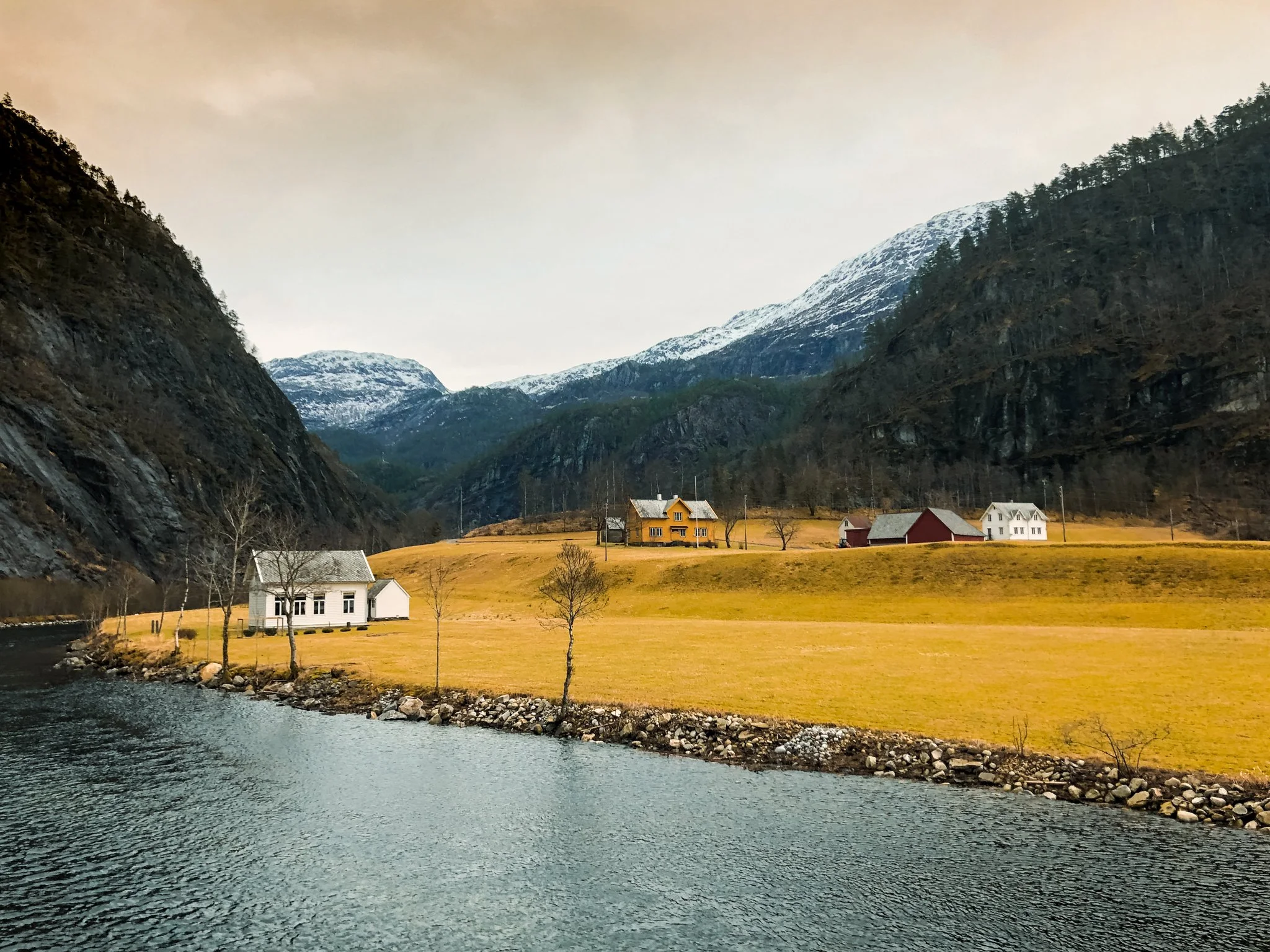 Norwegian Fjords.jpg