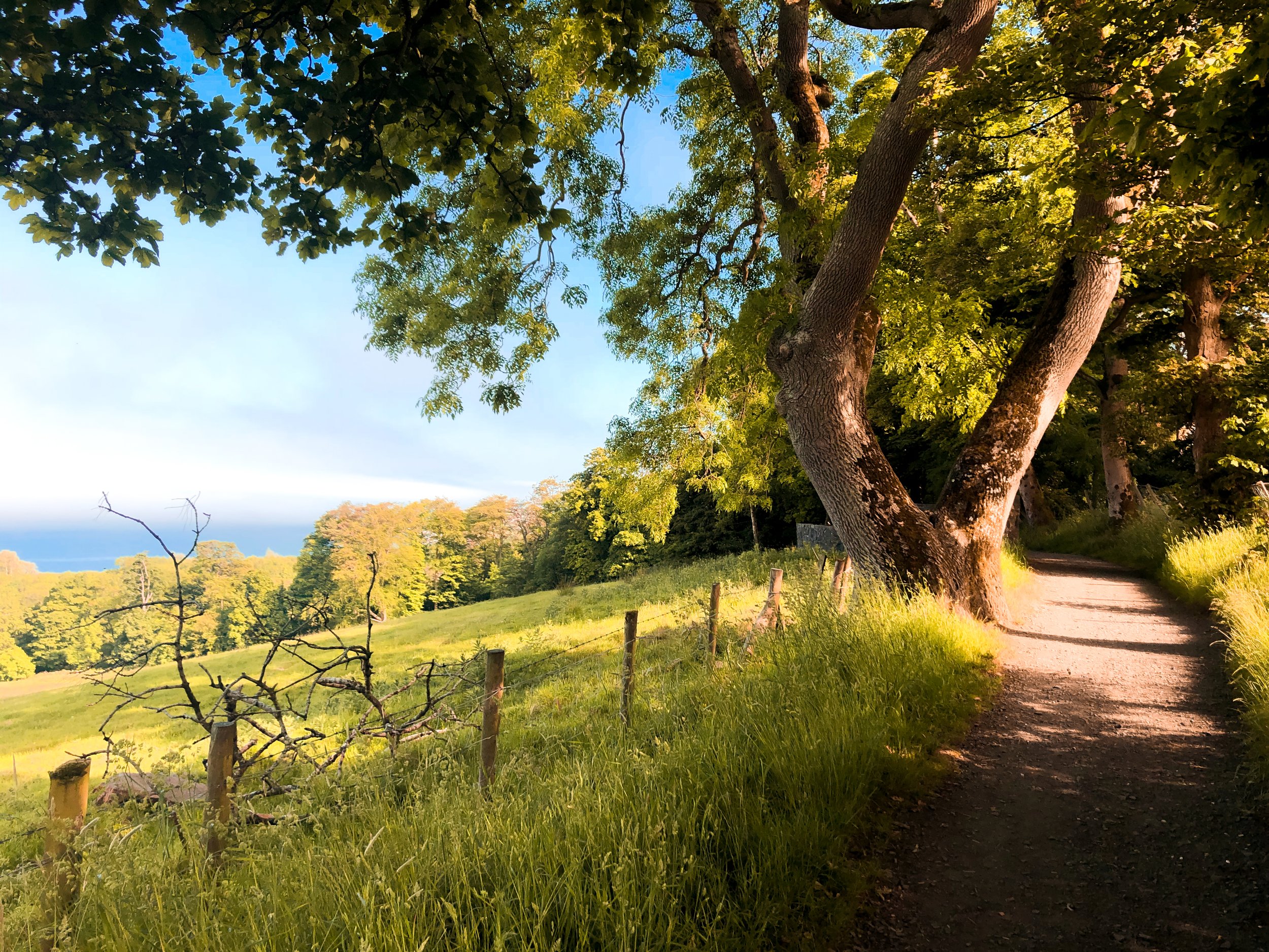 Carnfunnock Country Park.jpg