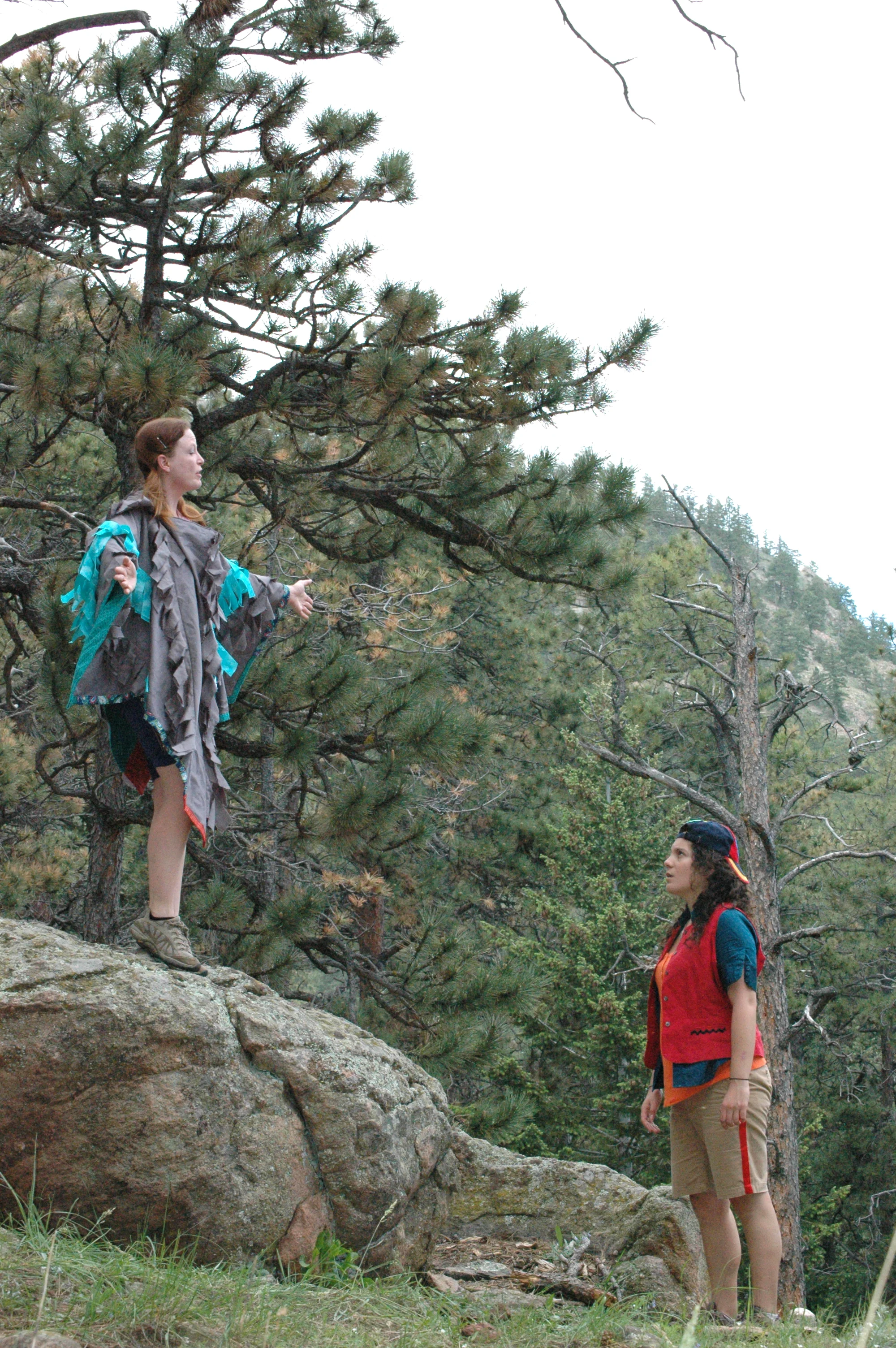 Little Red and Her Feisty Friends 2015