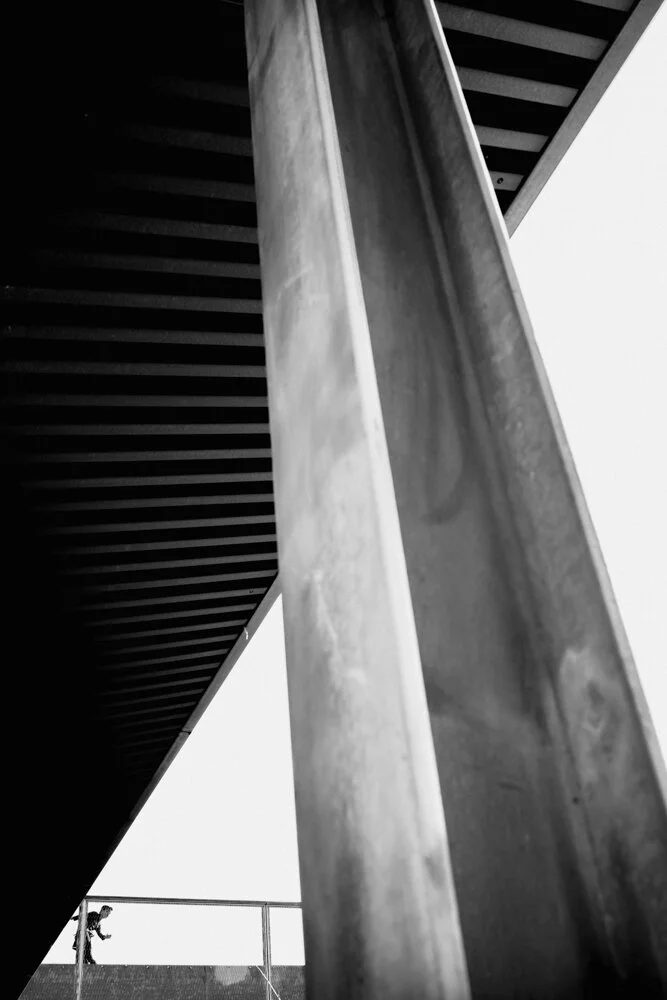 _DSC0113.jpg