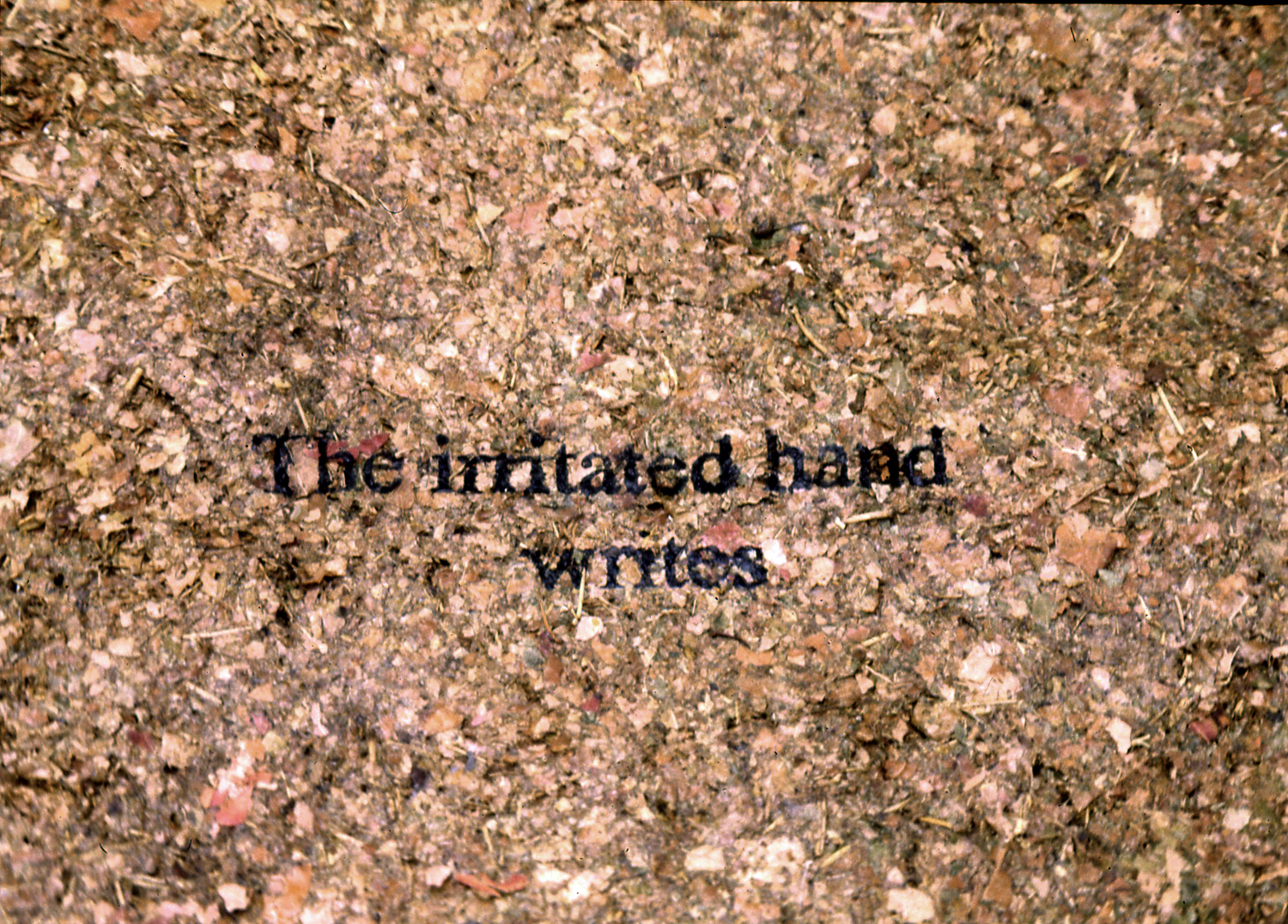 POISON OAK PAPER detail: The irritated hand / writes.