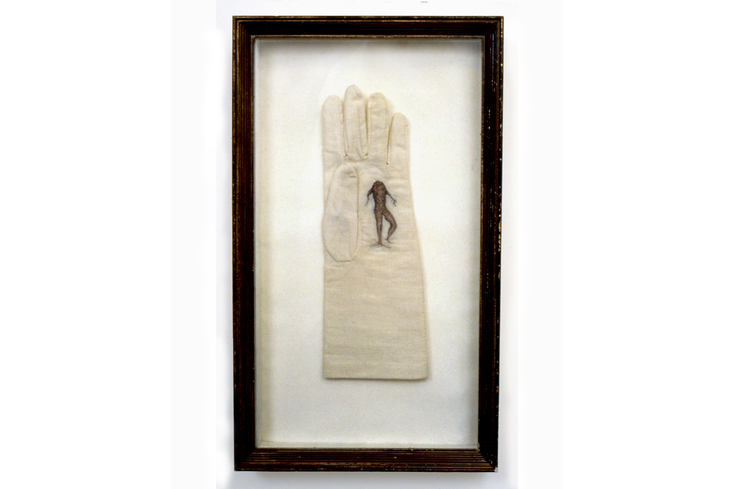 FLYING OINTMENT: MANDRAKE Five hand-made, left-handed gloves embroidered with images of hallucinogenic herbs including Henbane, Belladonna and Monkshood that were reportedly used in witches’ flying ointments.
