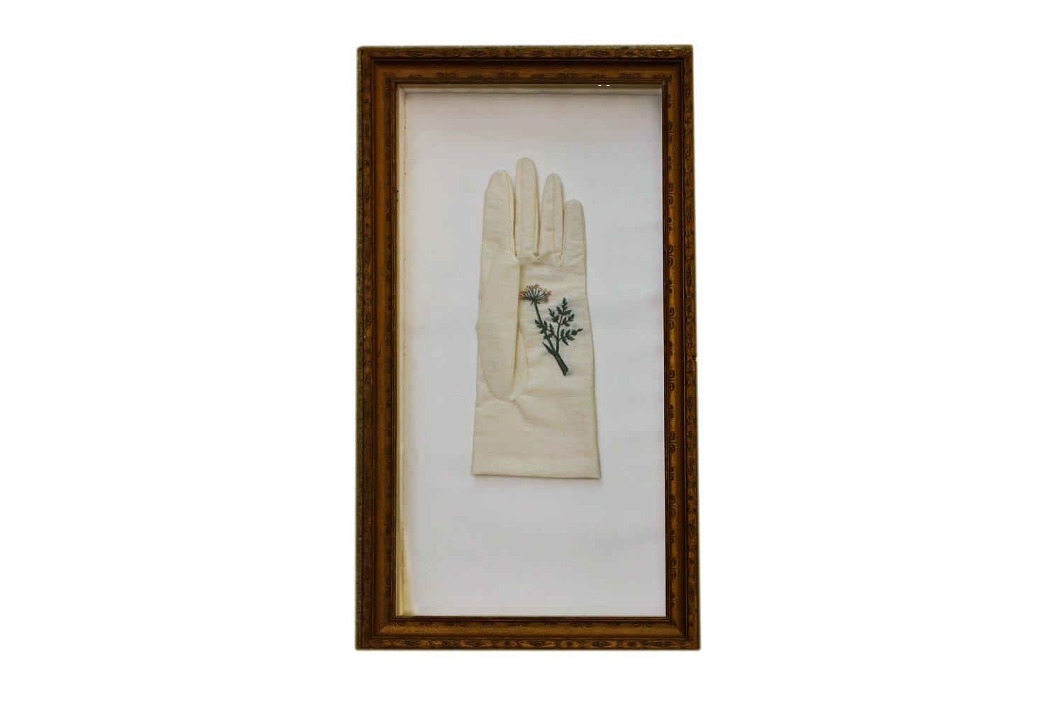 FLYING OINTMENT: HEMLOCK A commentary on women's power, the gloves are made of cheap muslin fabric but are preserved in glass-fronted boxes that are lined with silk.