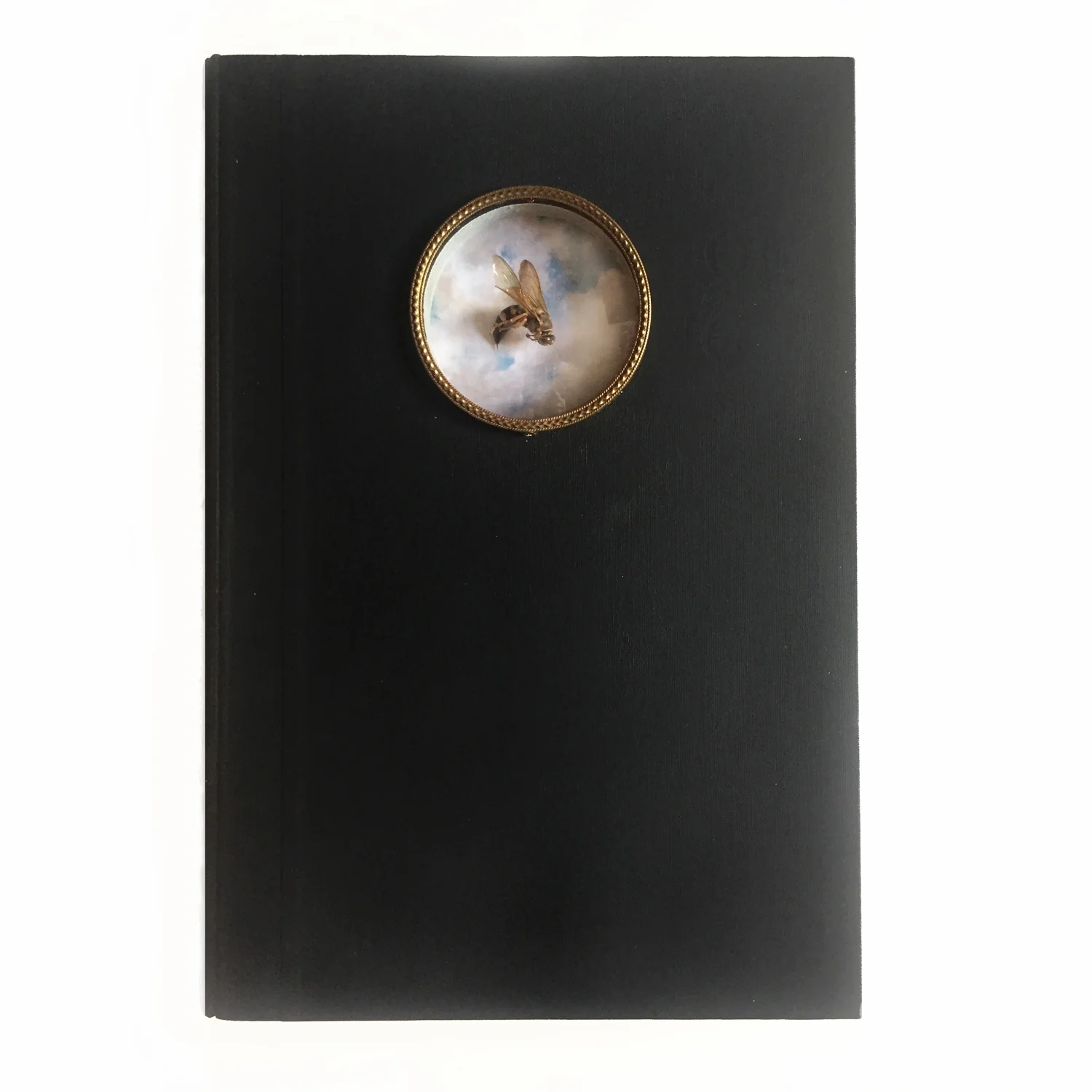 THE BEE VOLUME BOOK, containing "imposter bee" specimen, was created as a performance prop to house THE BEE VOLUME poems.