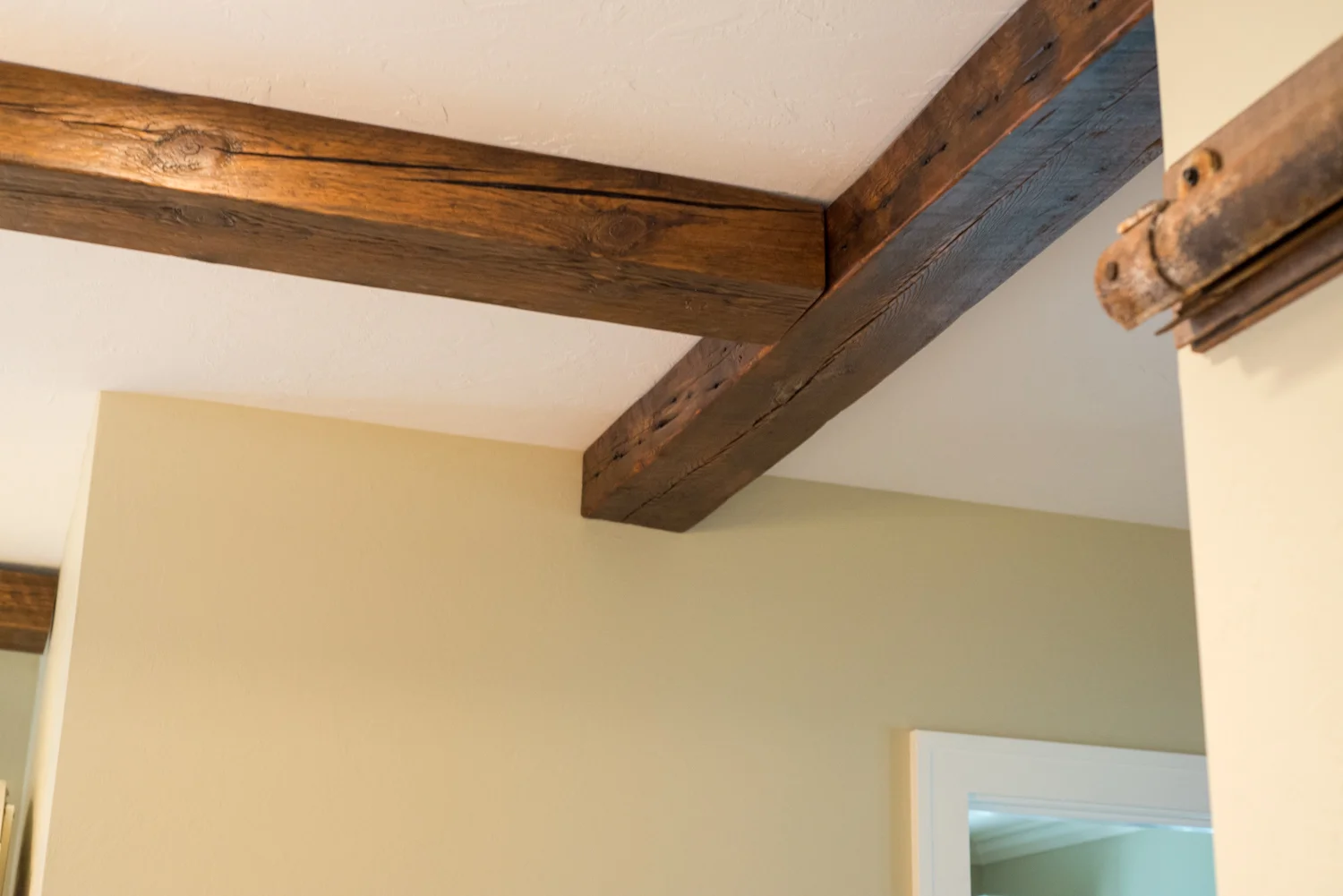 hbb_web_geracie-beams_3.jpg