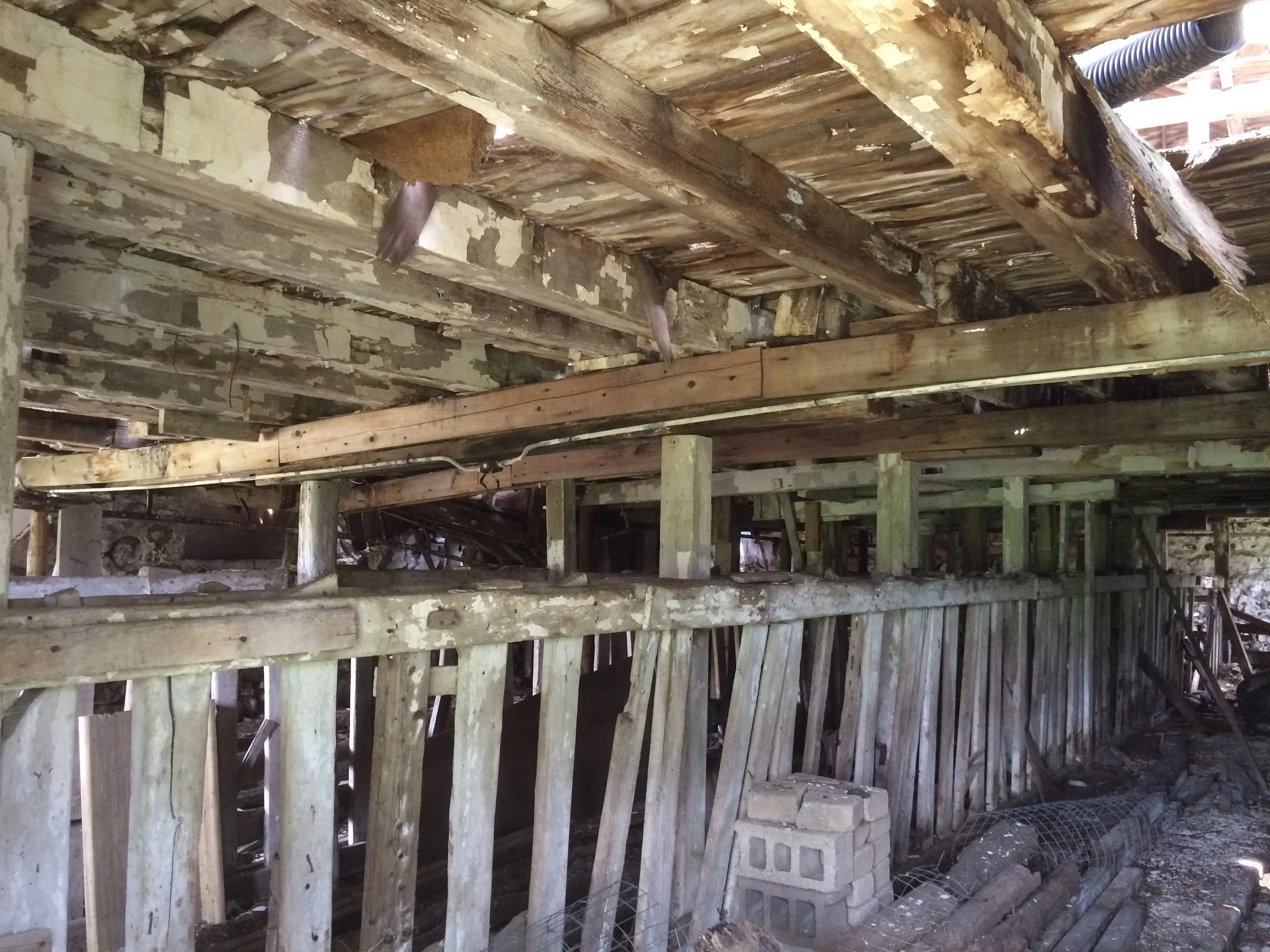 A peek inside.