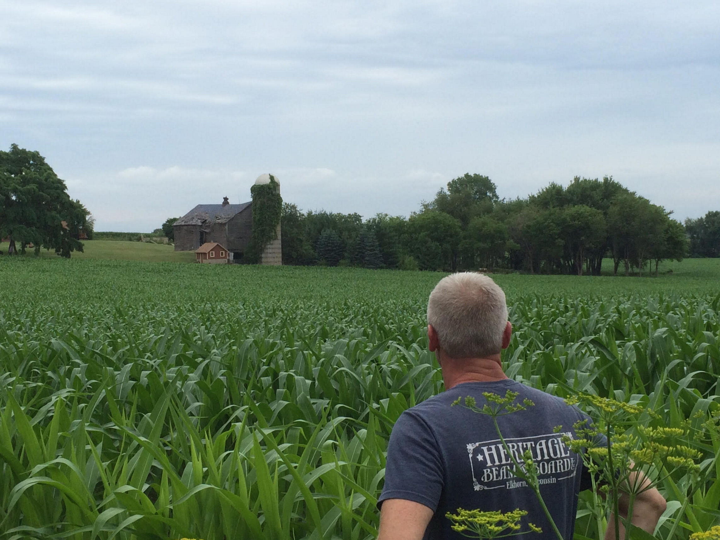 Our first glimpse of the barn.