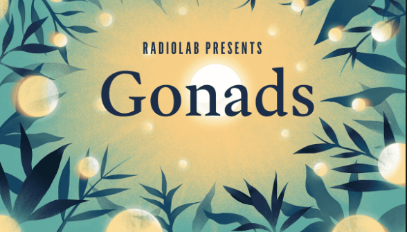 Radio Lab: Gonads