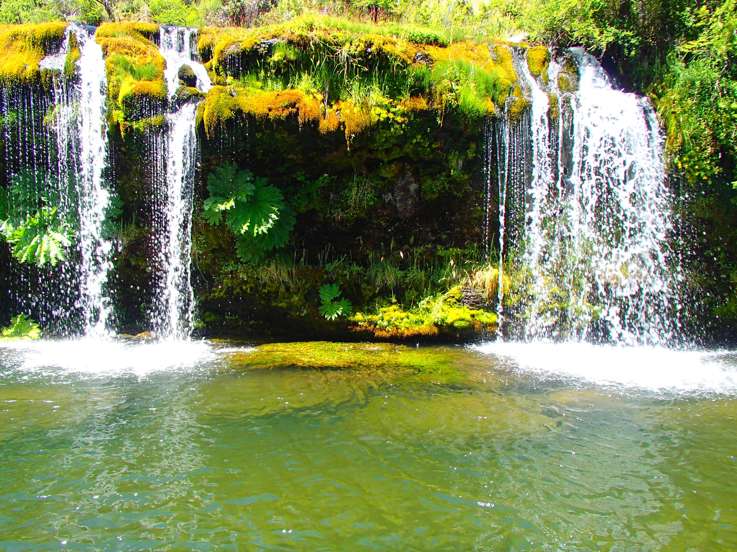 Always on the lookout for the perfect swimming hole