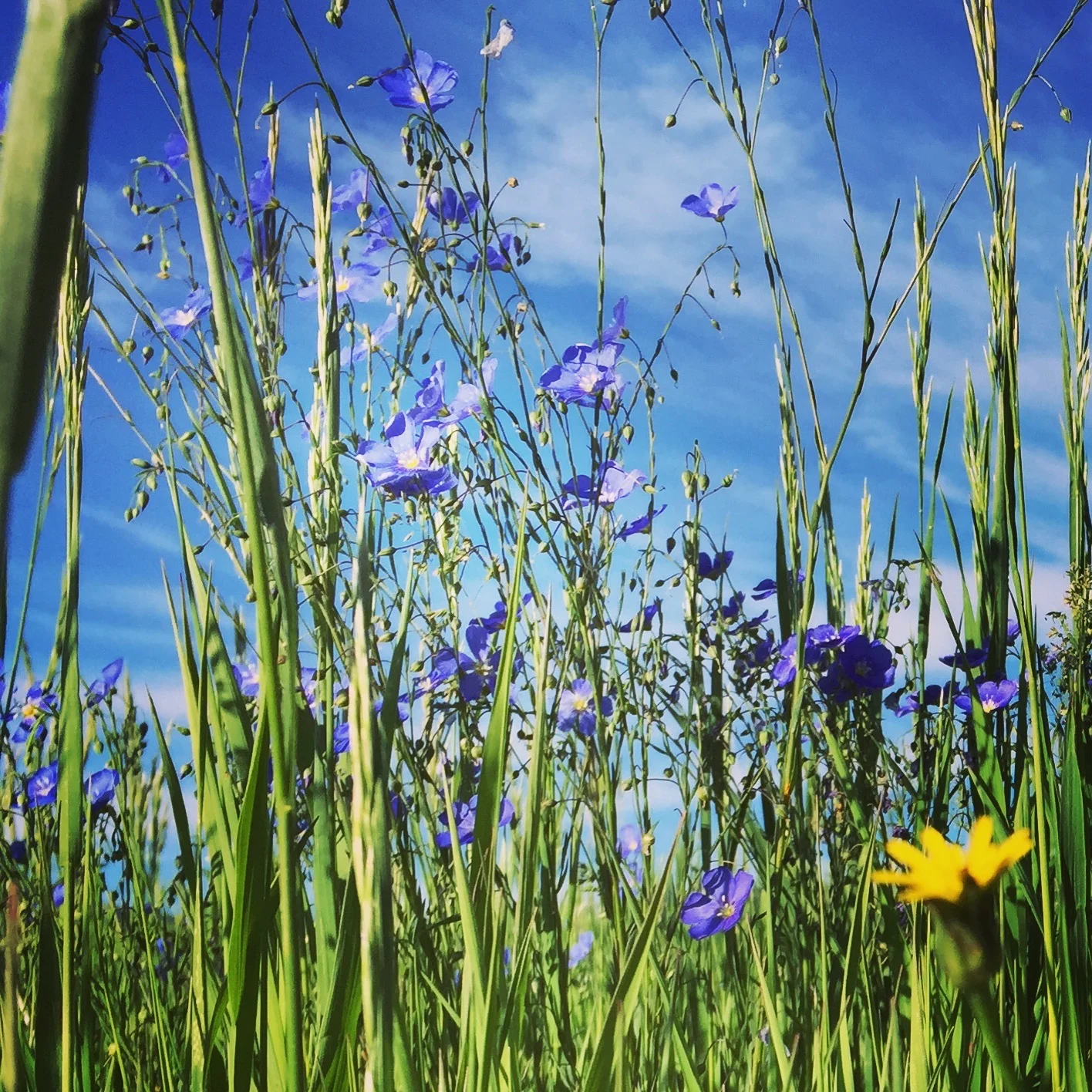 Spring Retreat, ARC Hiking Club, and Patagonia Recon