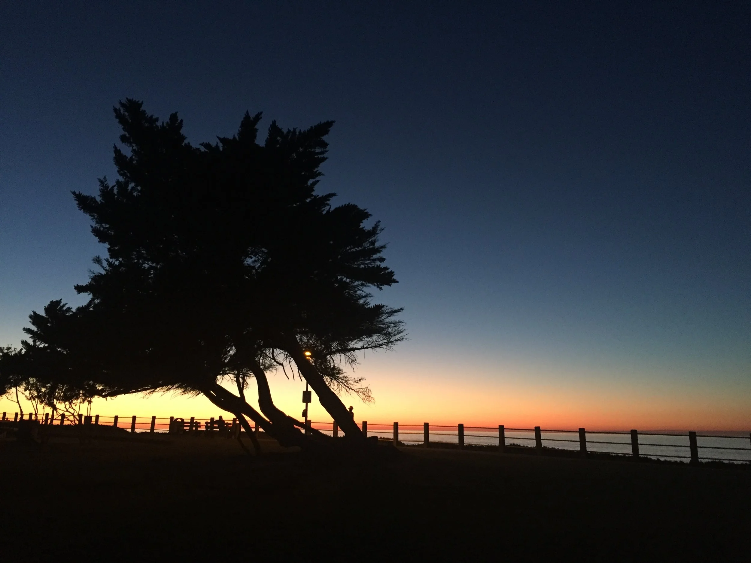 The Art of Interviewing