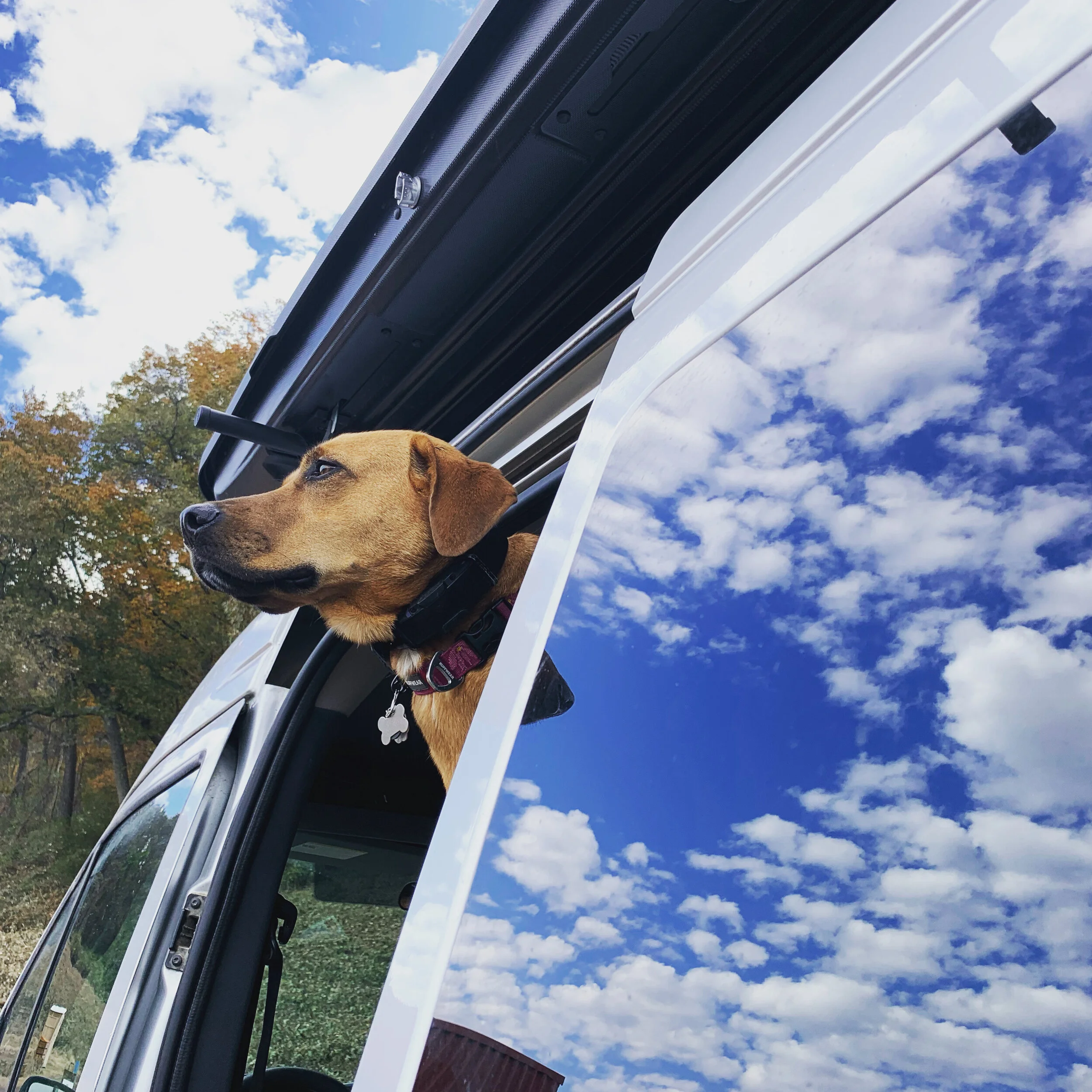 Lessons from Van Living: Part II