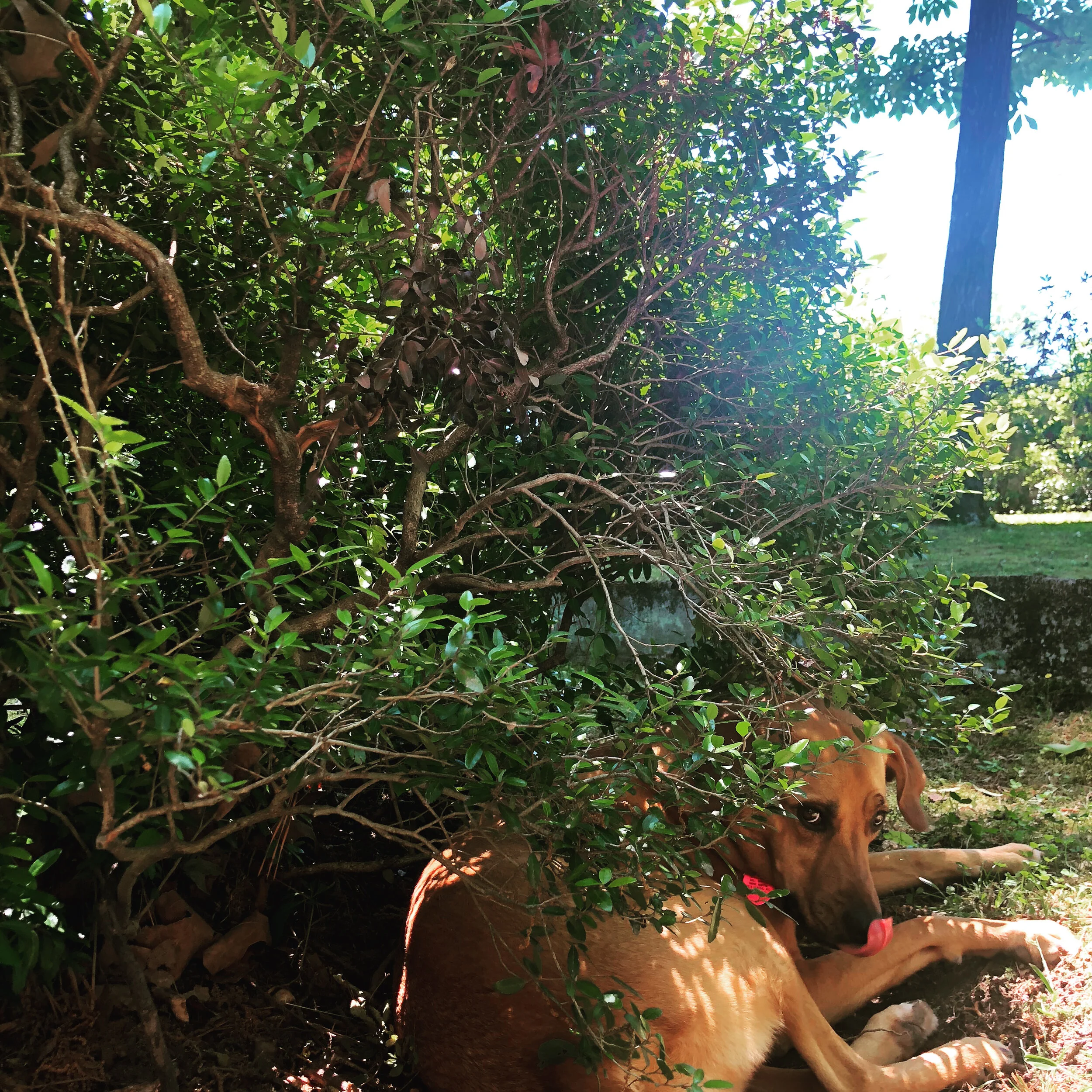 When we go back to normal...