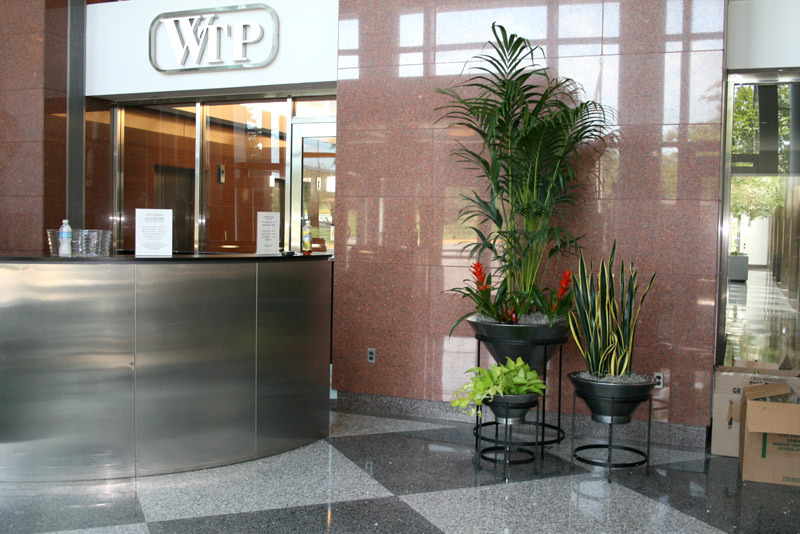 Grouping in large reception area (Copy)