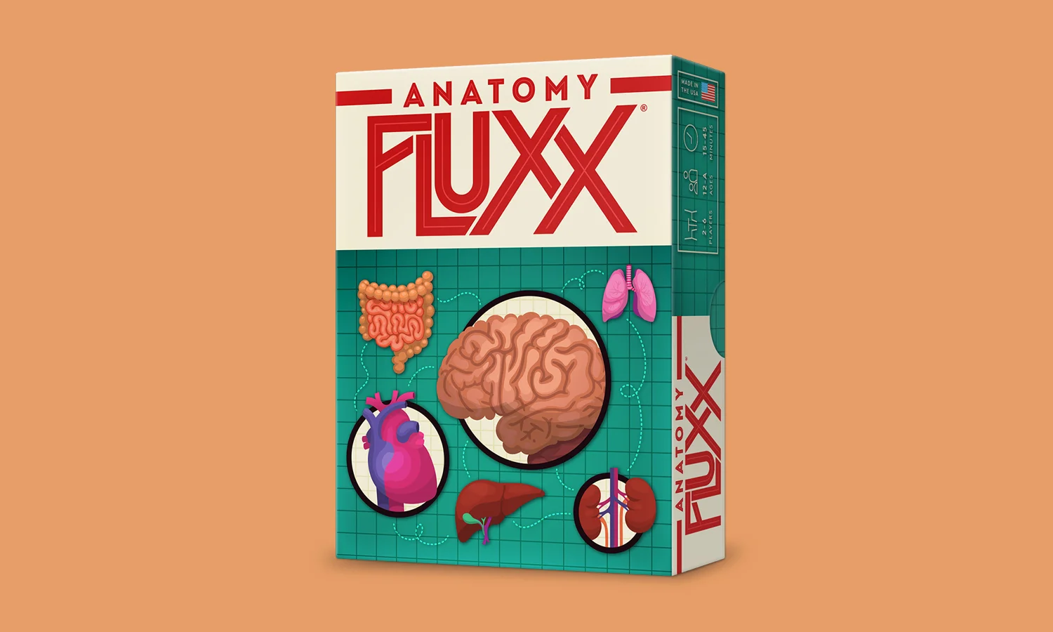 AnatomyFluxx_1.jpg