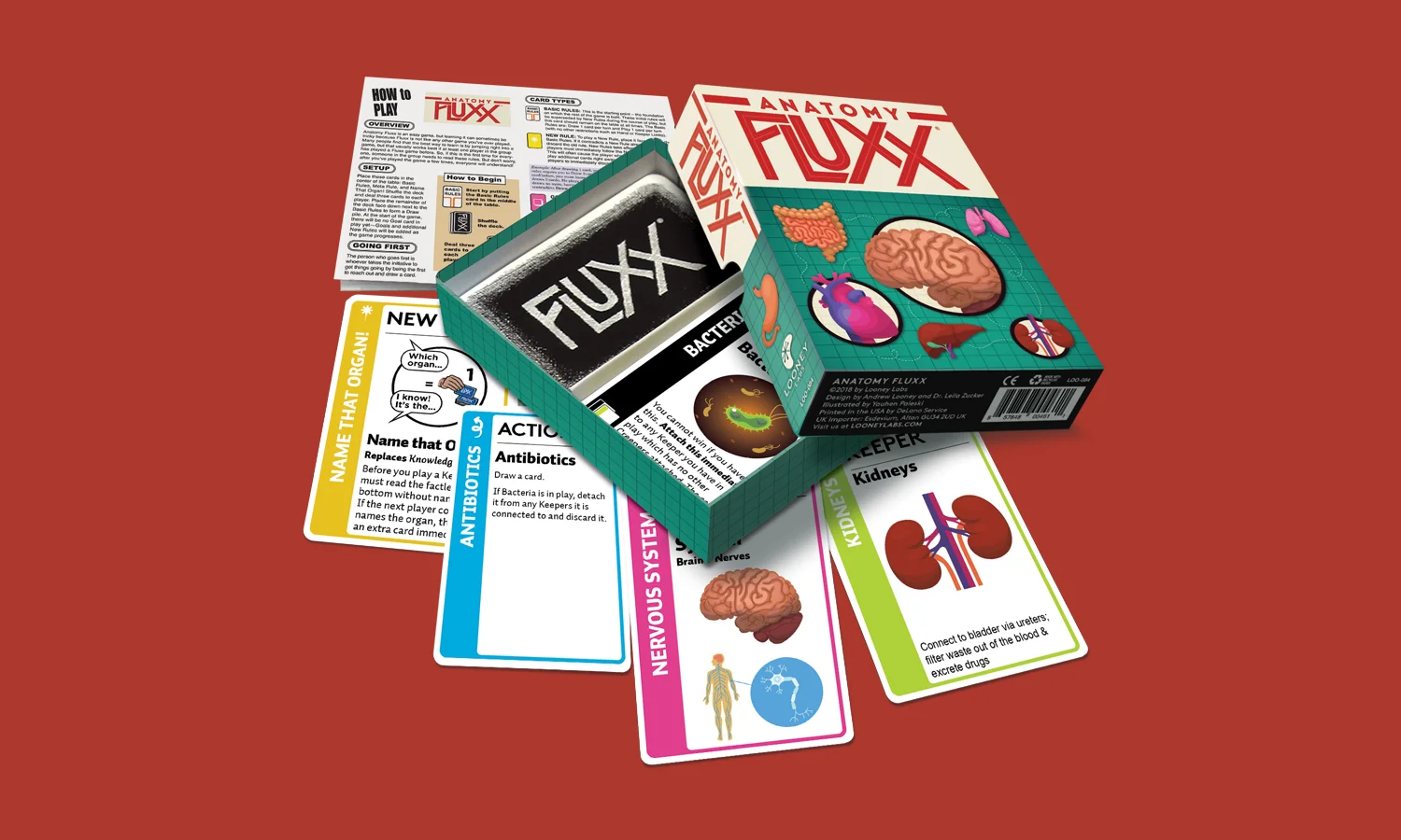 AnatomyFluxx_2.jpg