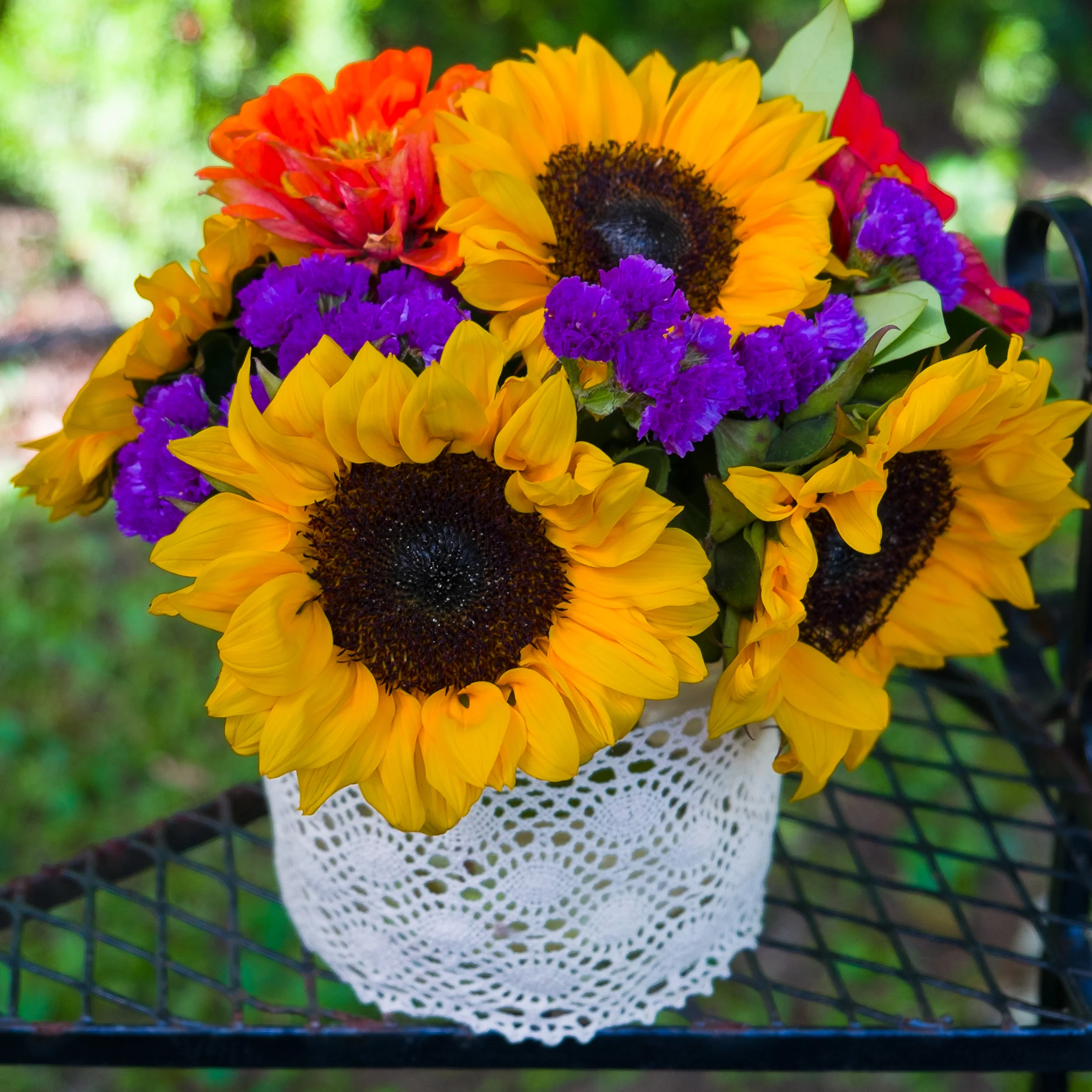 DSCF9459.jpg