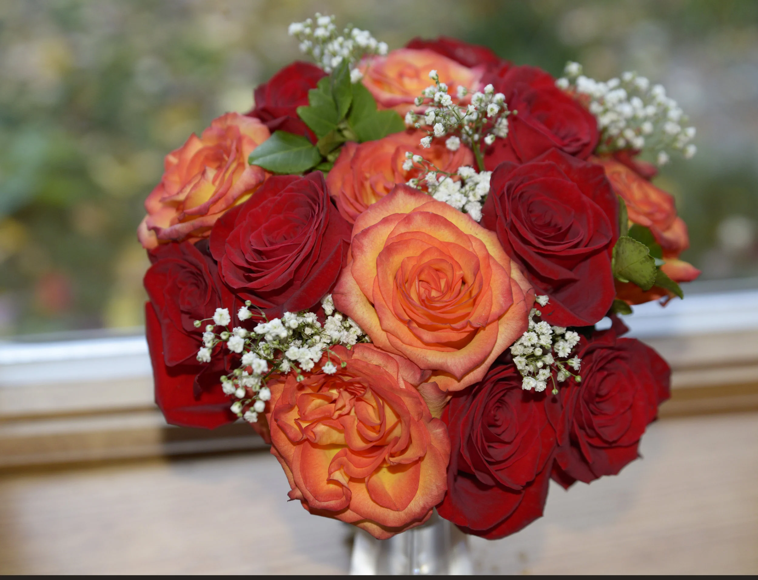 Red Roses and Circus Roses 