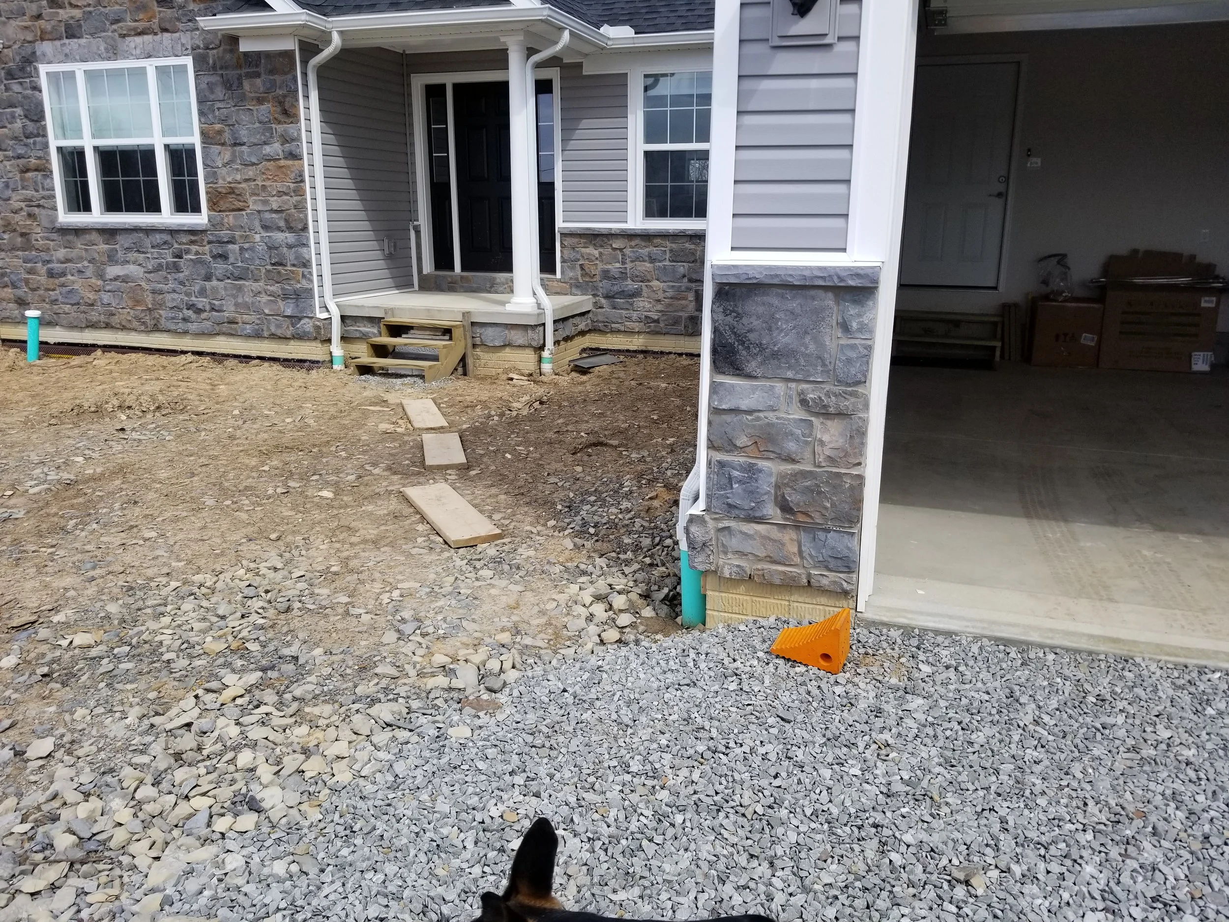 20190316_130520.jpg
