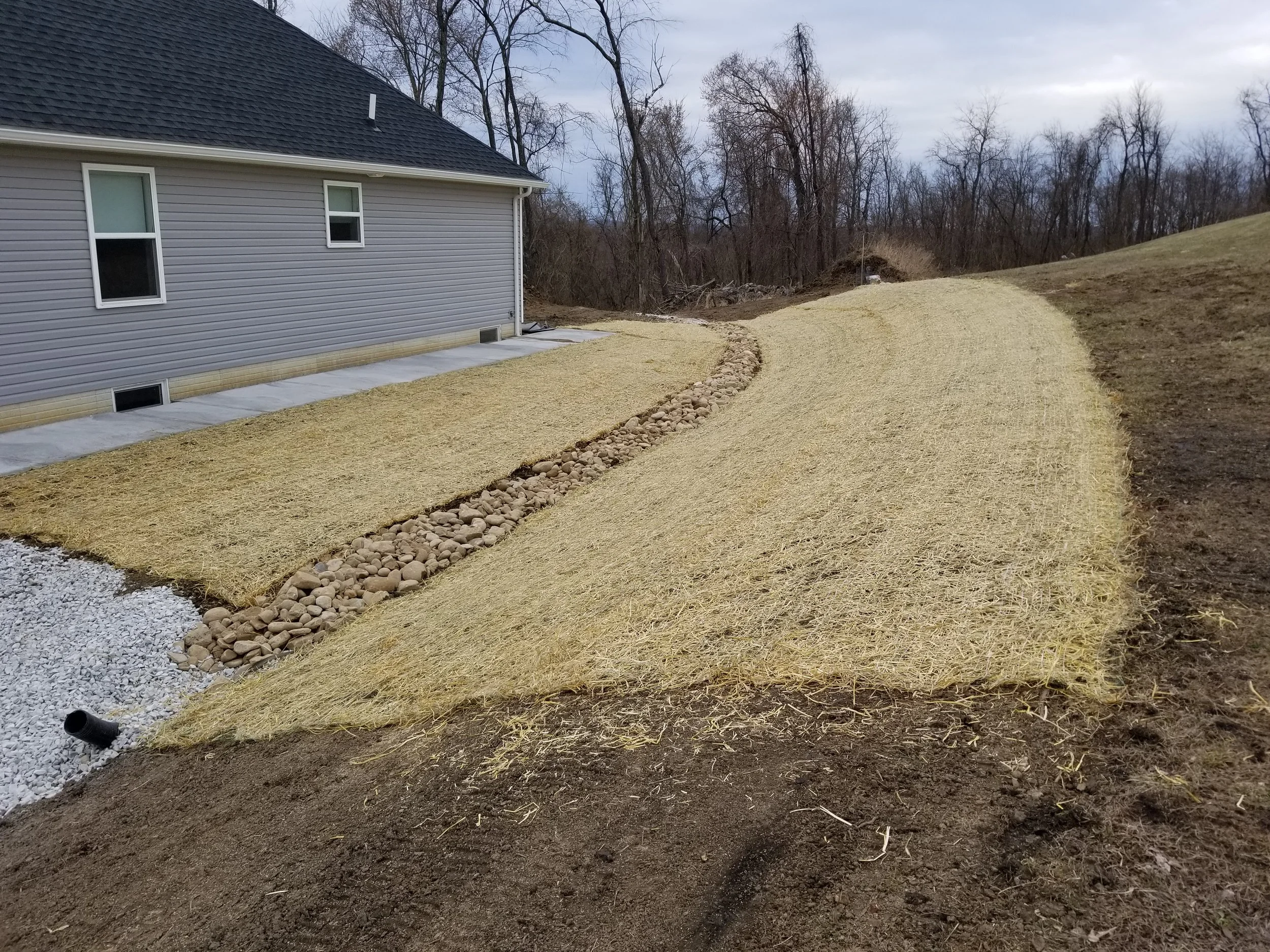 20190328_174512.jpg